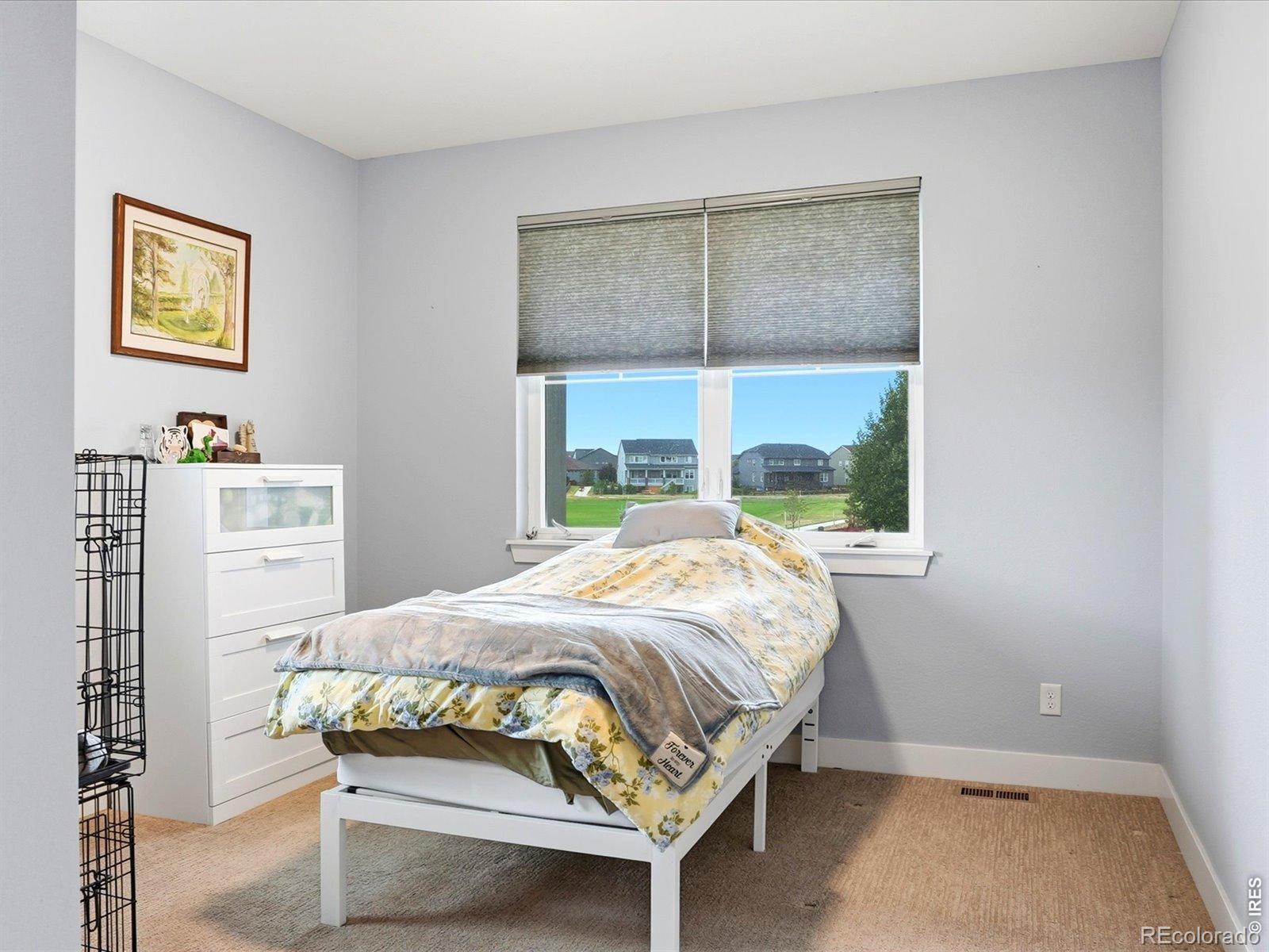 MLS Image #6 for 7014  wiggins court,timnath, Colorado