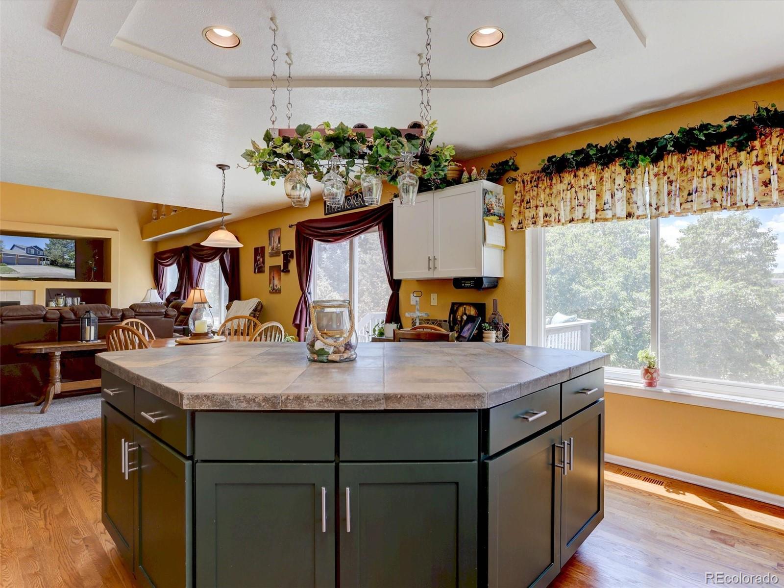 MLS Image #13 for 3616  buffalo grass lane,castle rock, Colorado