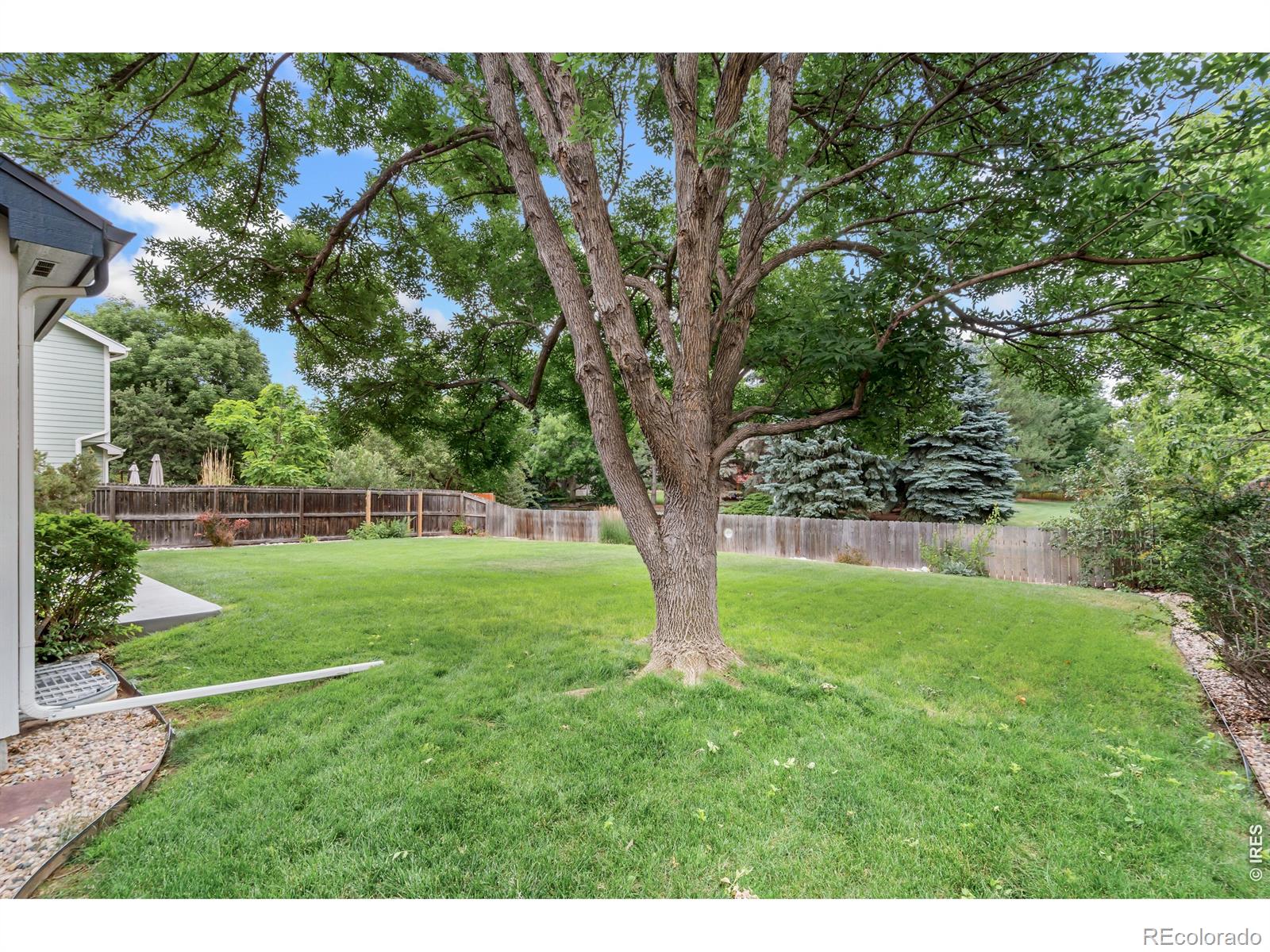MLS Image #38 for 2613  willow creek drive,fort collins, Colorado