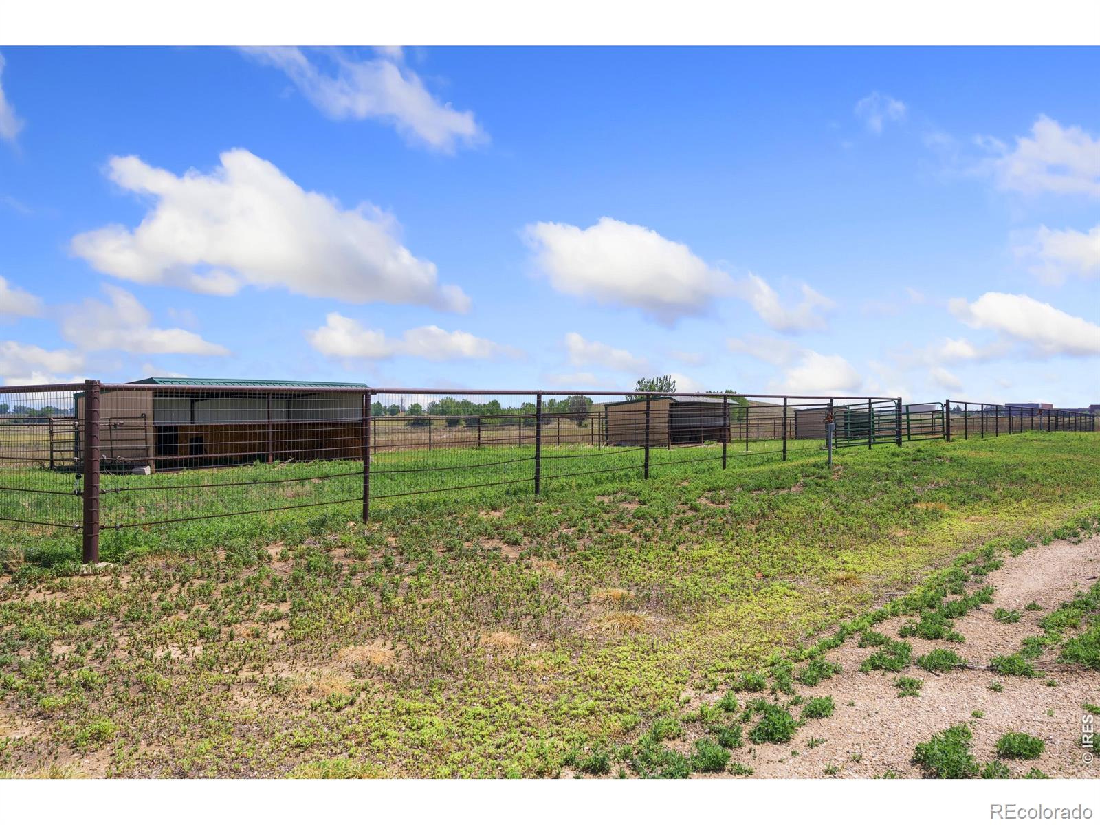 MLS Image #33 for 6508  county road 5 ,erie, Colorado