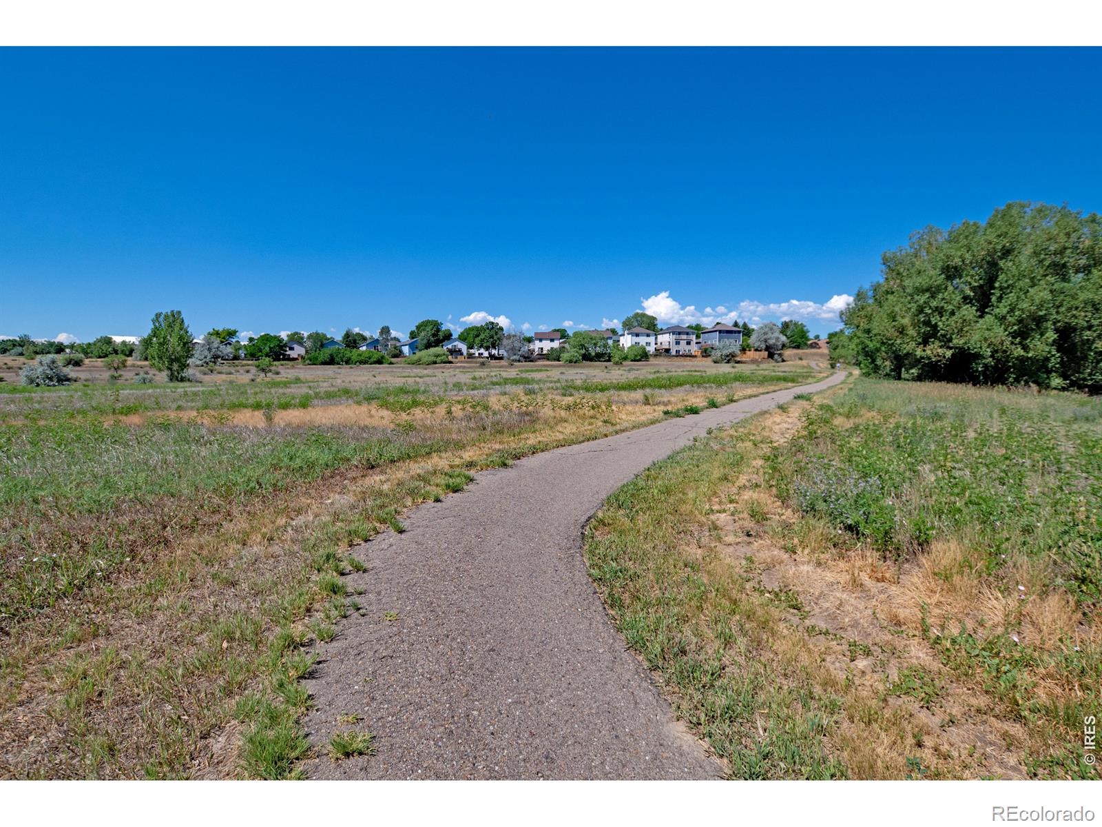 MLS Image #30 for 5315  fossil ridge drive,fort collins, Colorado