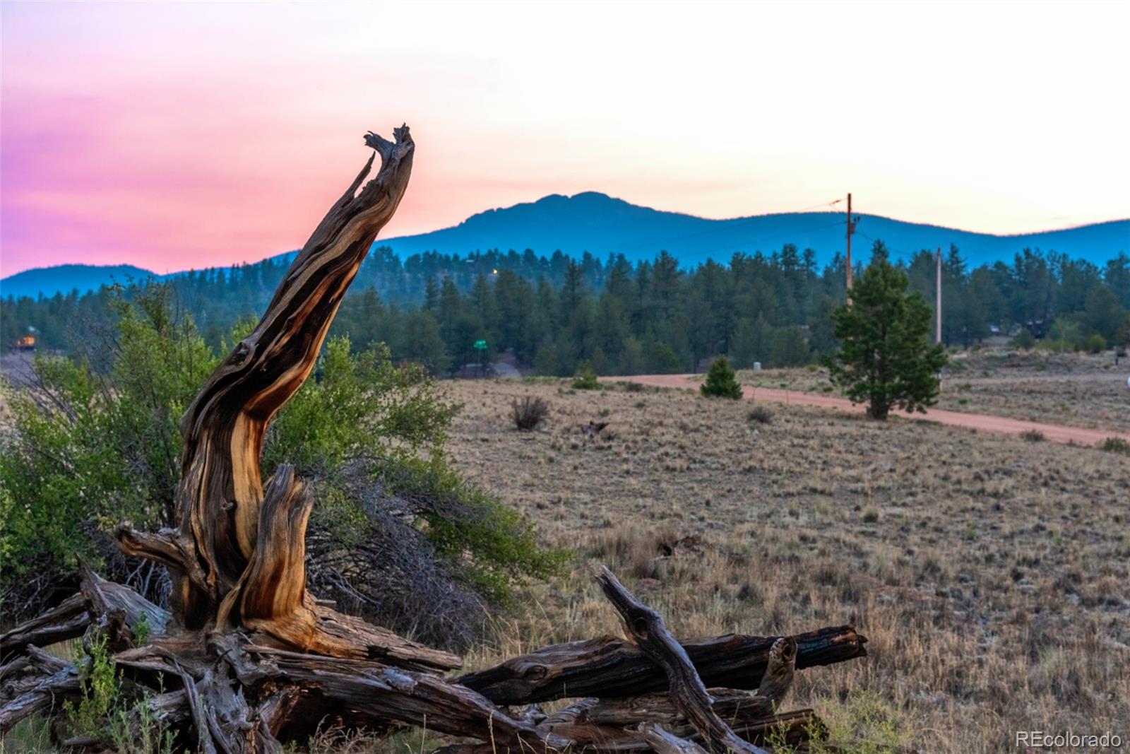 MLS Image #30 for 63  rock creek way,jefferson, Colorado