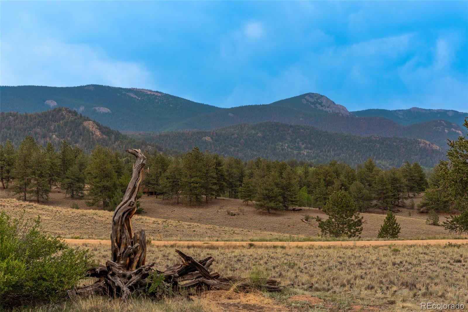MLS Image #41 for 63  rock creek way,jefferson, Colorado