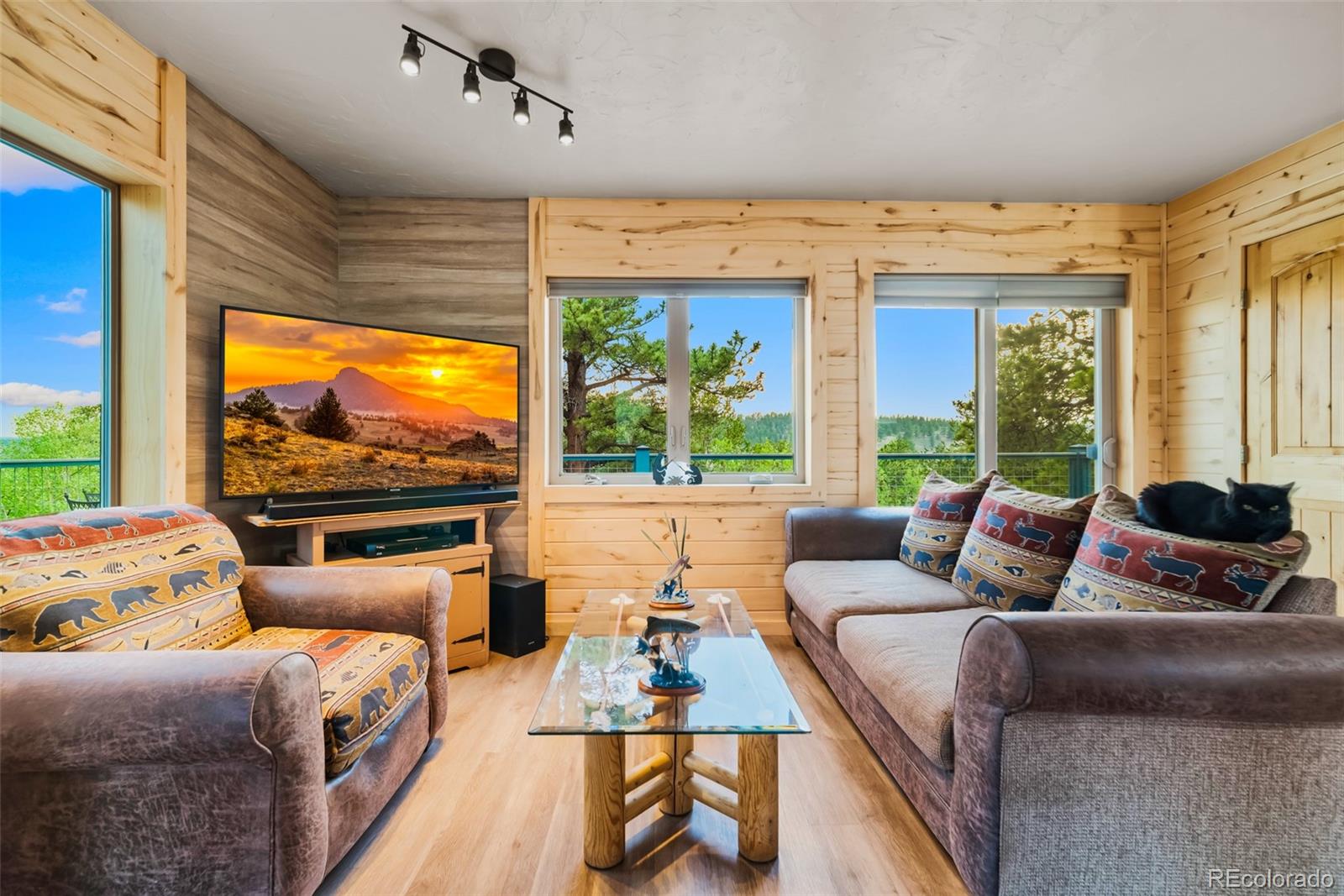 MLS Image #7 for 63  rock creek way,jefferson, Colorado