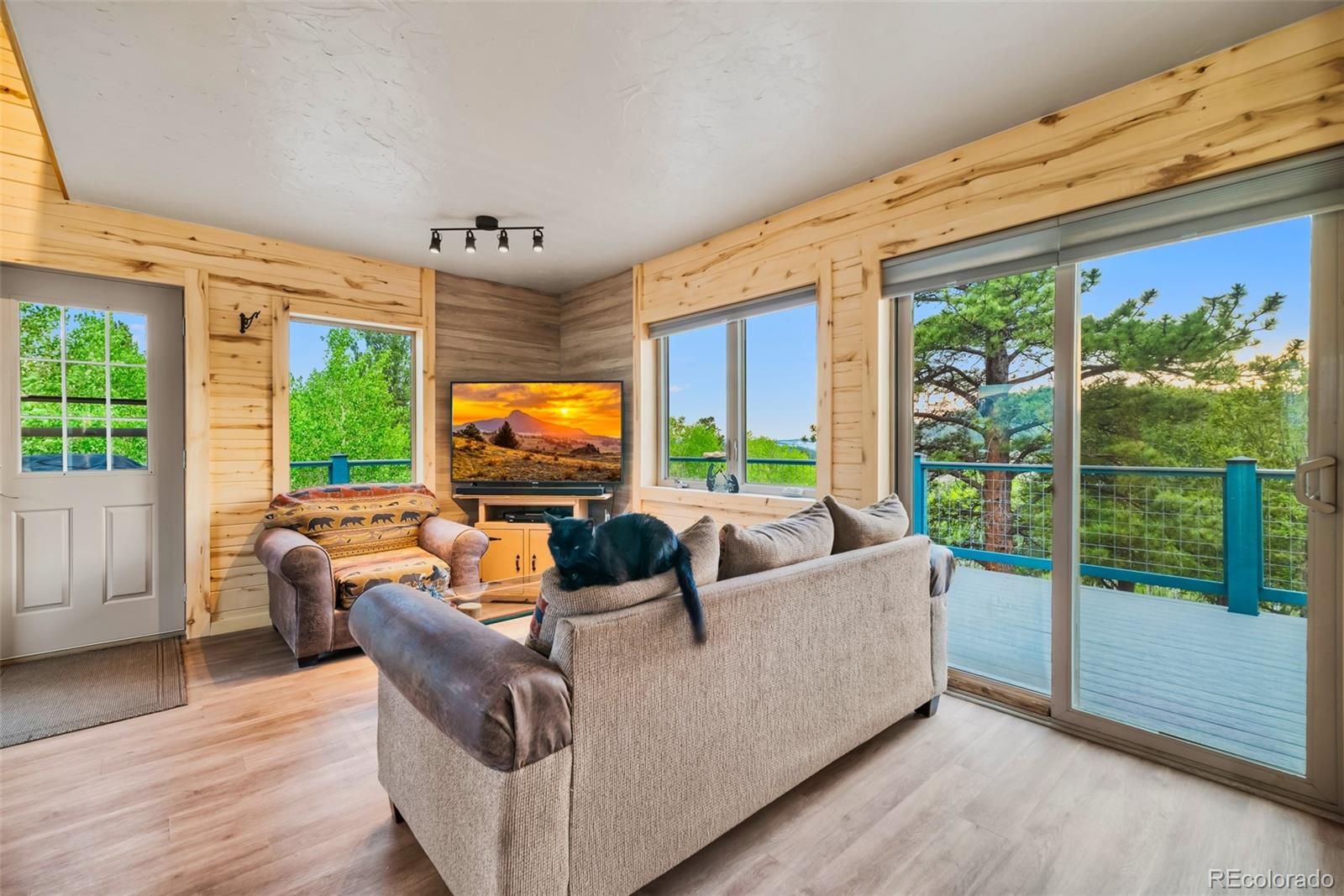 MLS Image #8 for 63  rock creek way,jefferson, Colorado