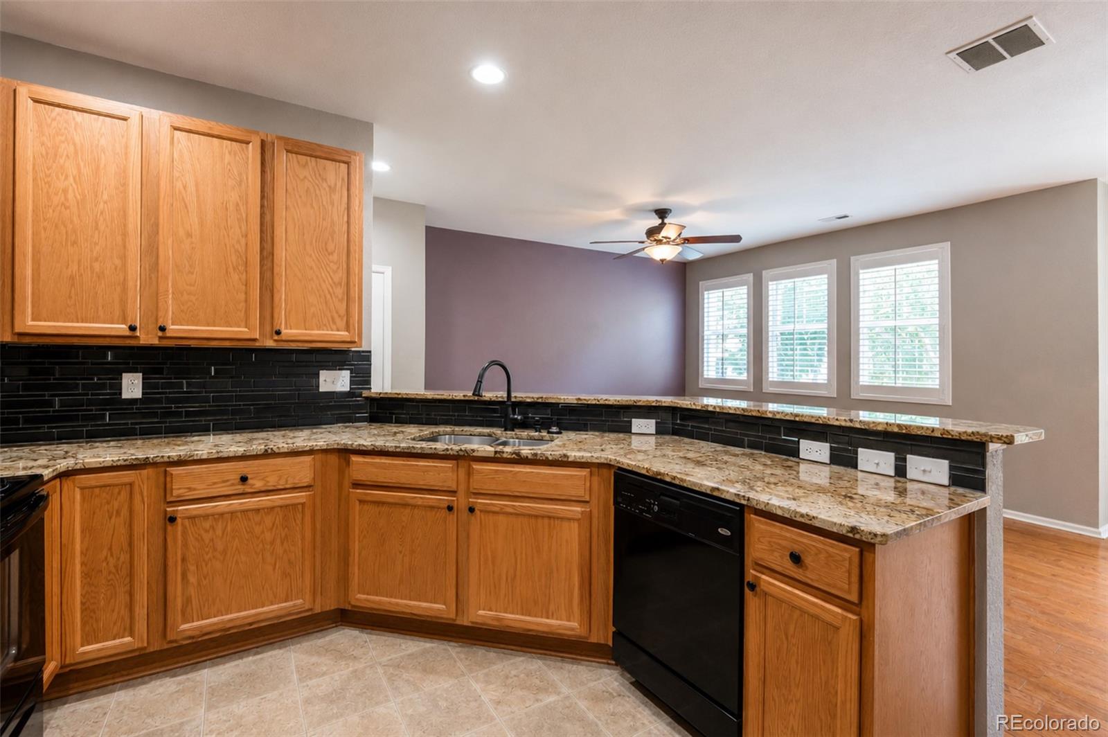 MLS Image #11 for 17151  lark water lane,parker, Colorado