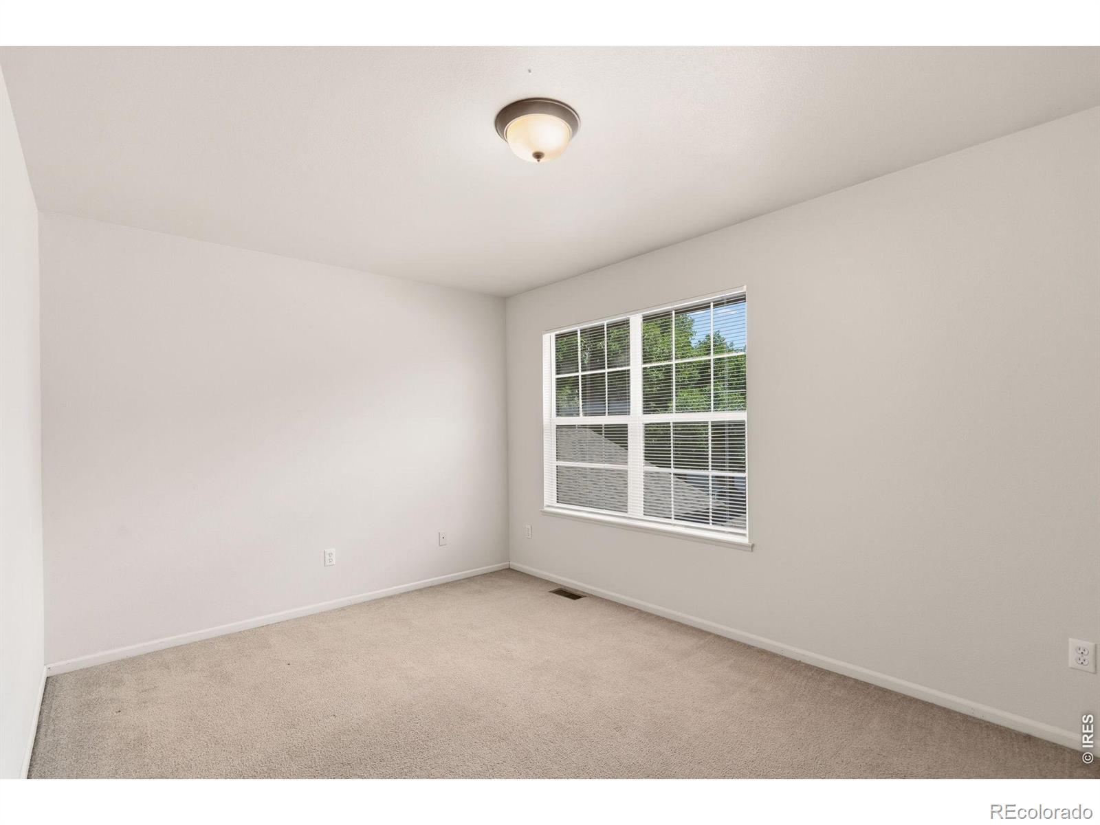 MLS Image #15 for 4509  starflower drive,fort collins, Colorado