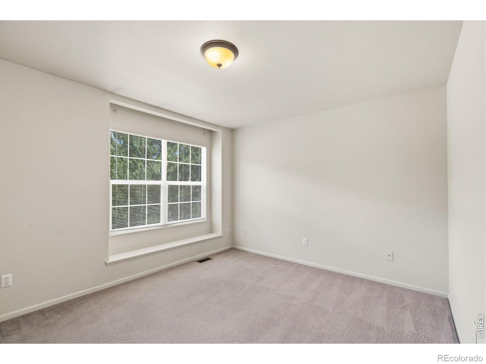 MLS Image #17 for 4509  starflower drive,fort collins, Colorado