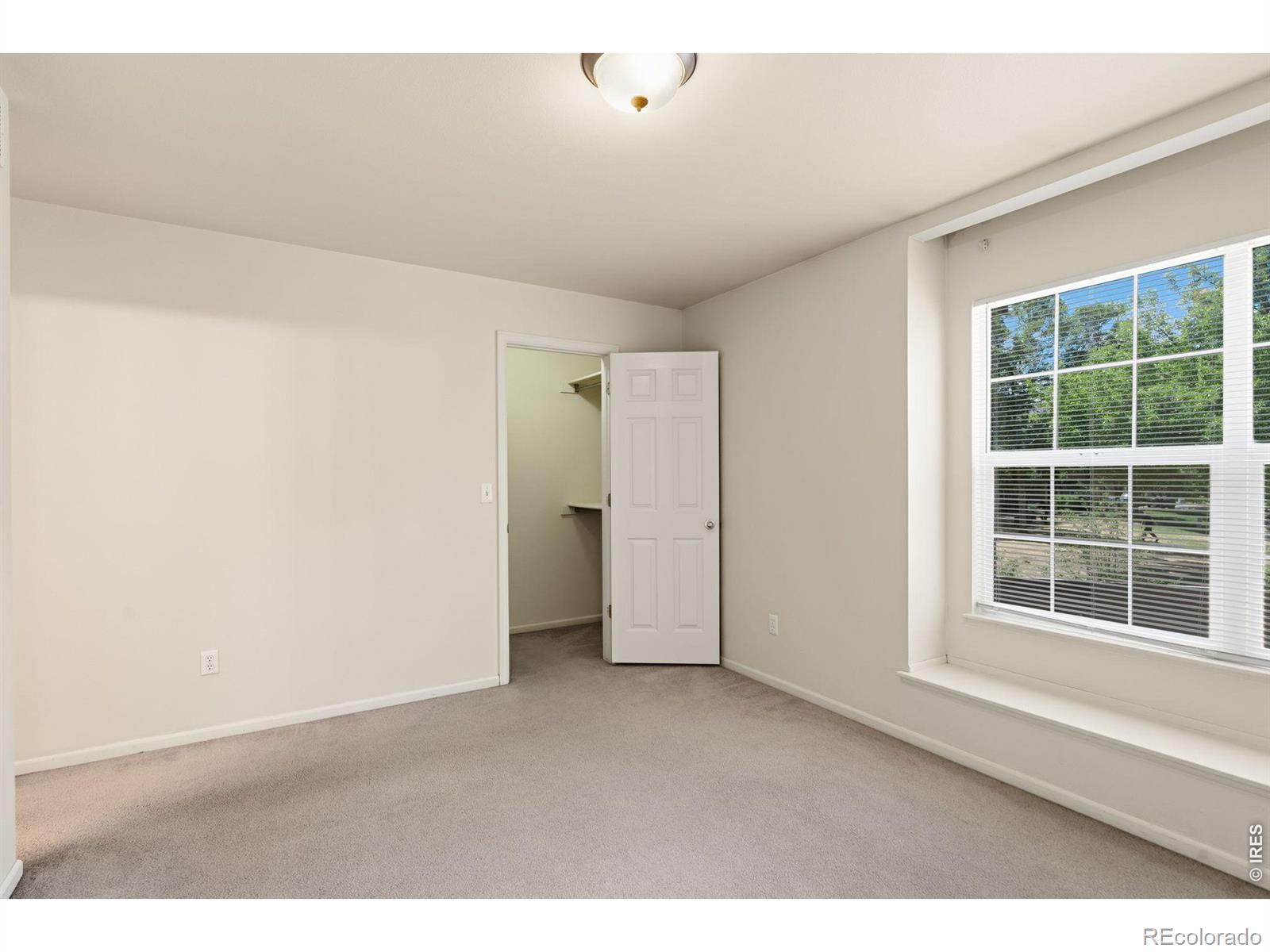 MLS Image #18 for 4509  starflower drive,fort collins, Colorado