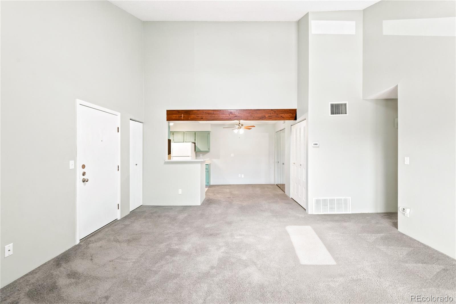 MLS Image #4 for 380  zang street,denver, Colorado