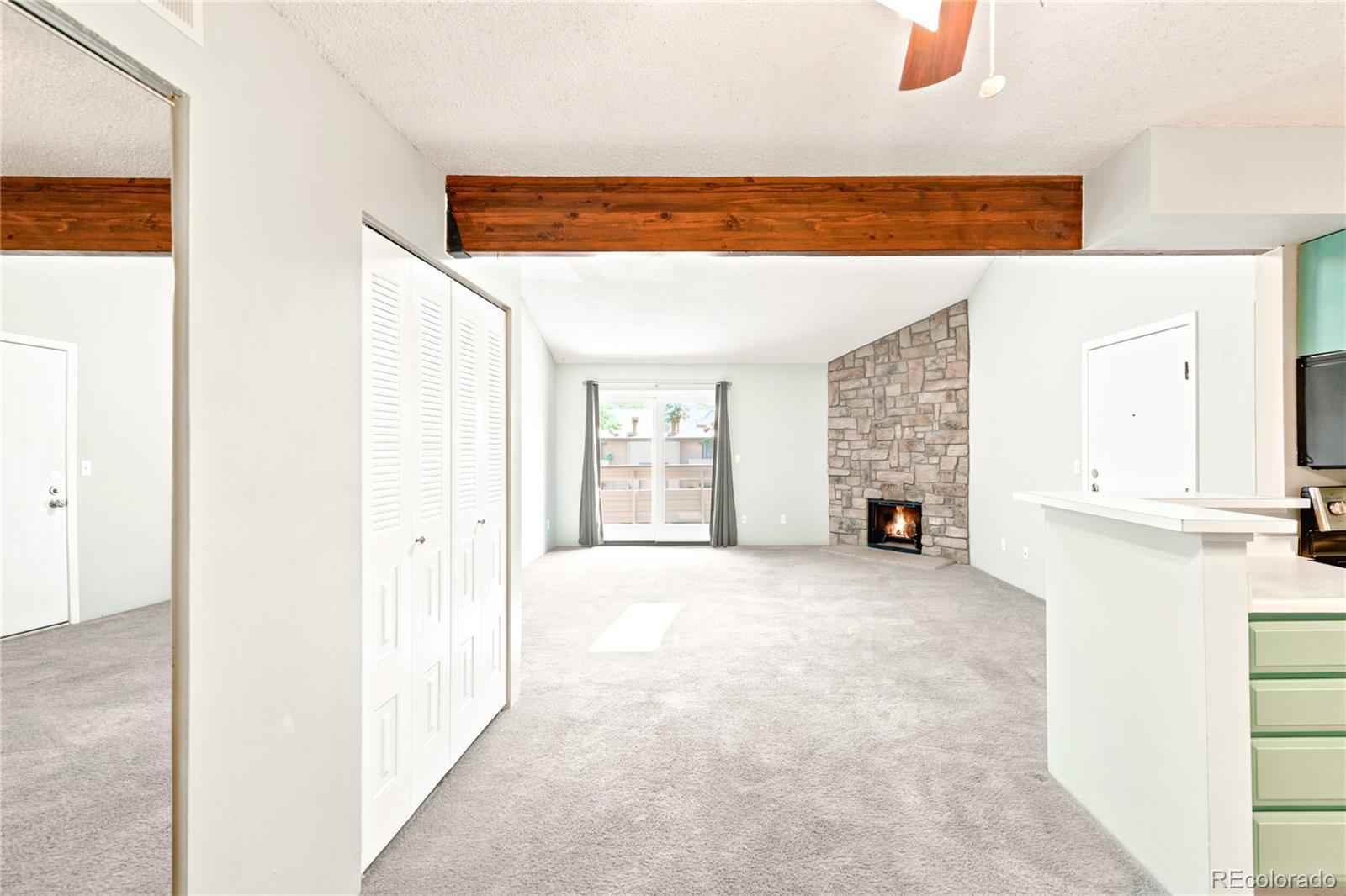 MLS Image #5 for 380  zang street,denver, Colorado