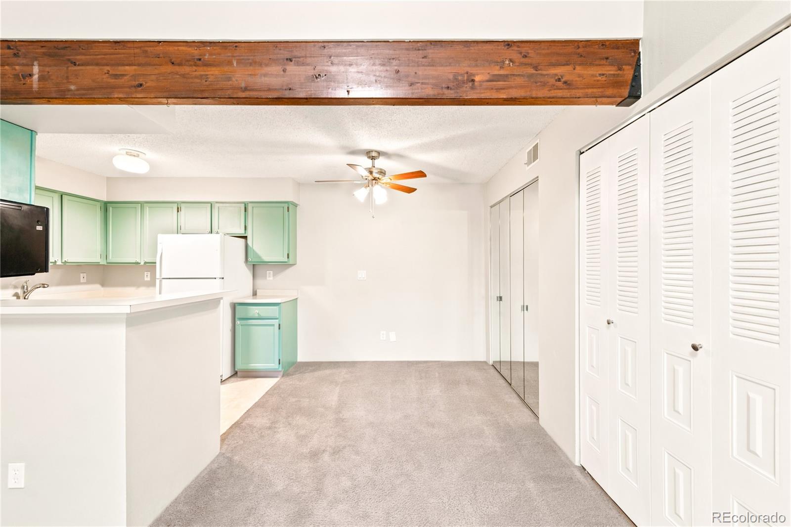 MLS Image #6 for 380  zang street,denver, Colorado