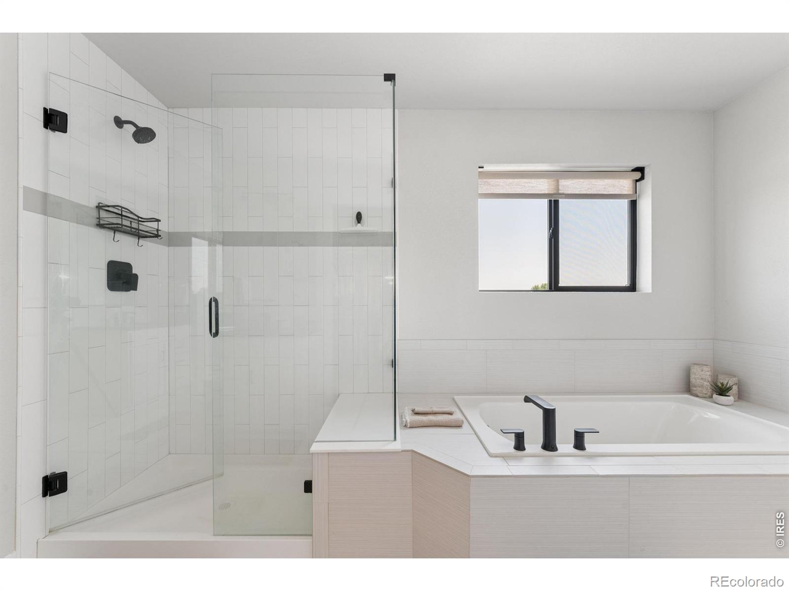 MLS Image #20 for 647  red jewel drive,windsor, Colorado