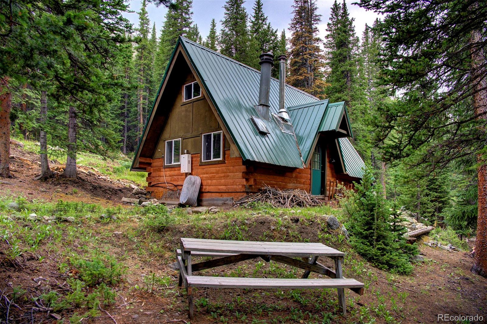 MLS Image #1 for 9562  co rd 18 ,fairplay, Colorado