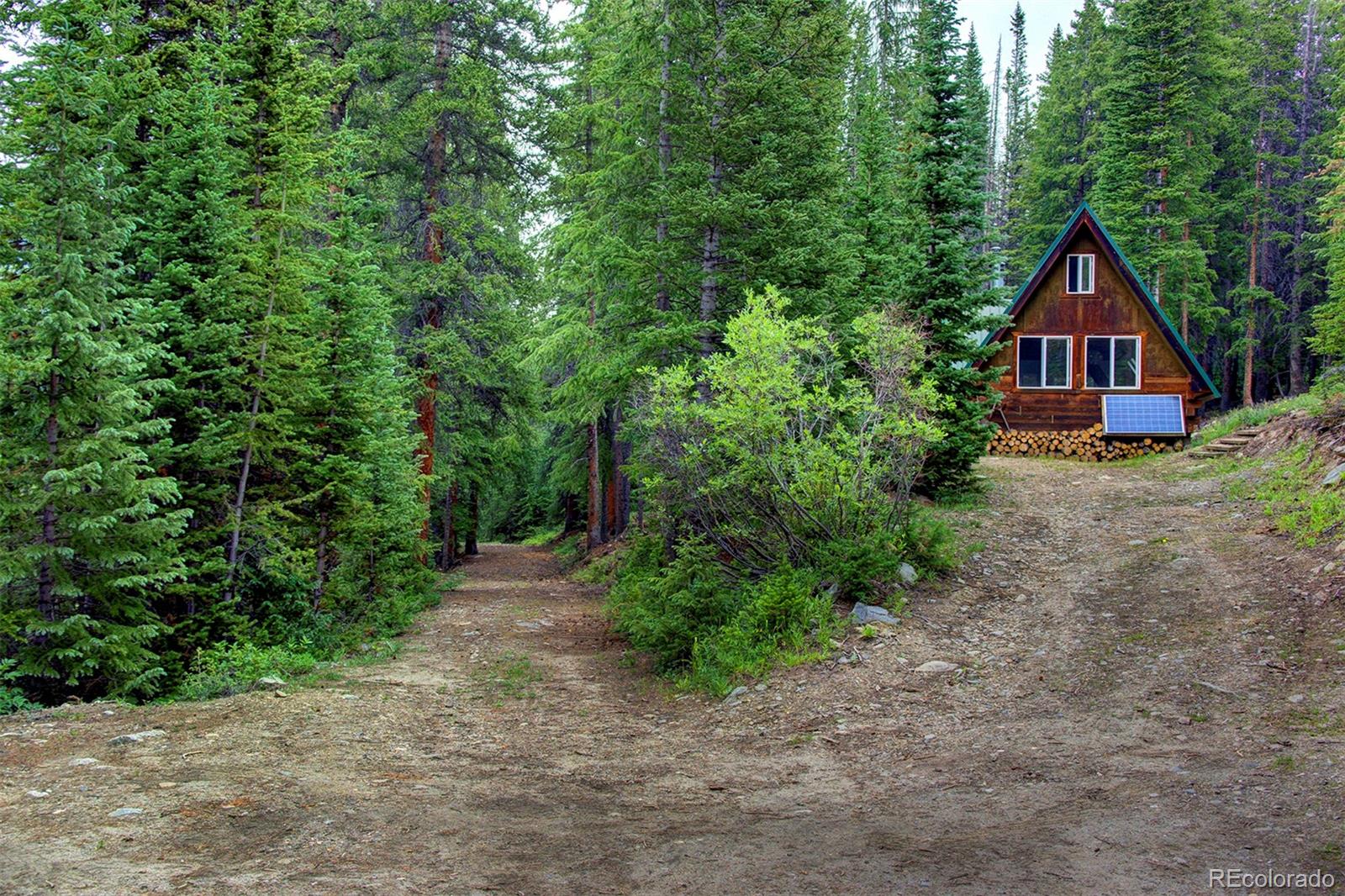 MLS Image #10 for 9562  co rd 18 ,fairplay, Colorado