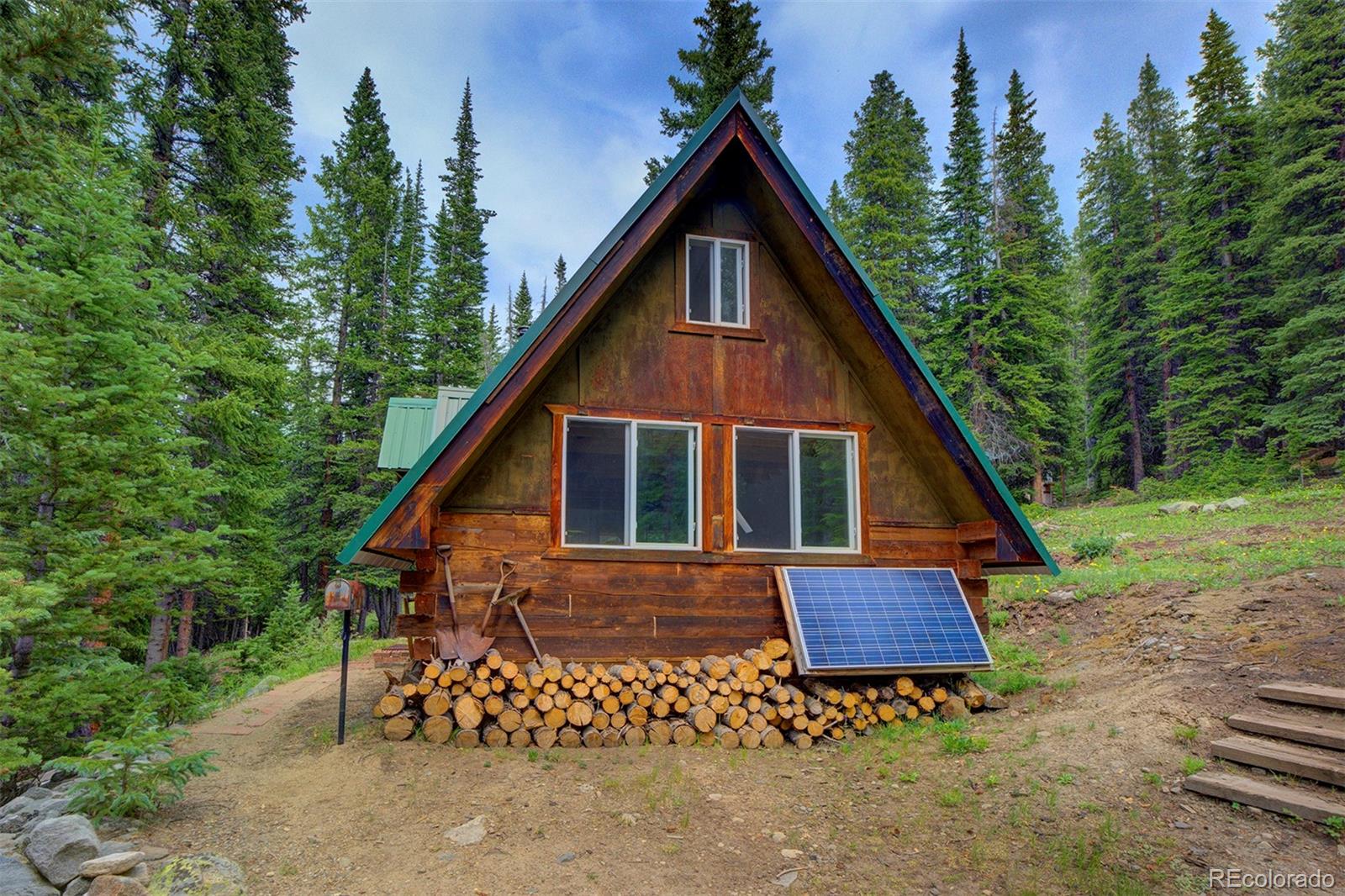 MLS Image #11 for 9562  co rd 18 ,fairplay, Colorado