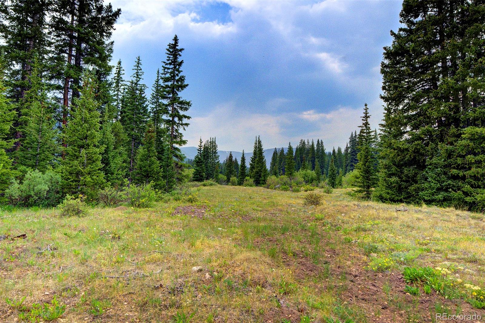 MLS Image #2 for 9562  co rd 18 ,fairplay, Colorado