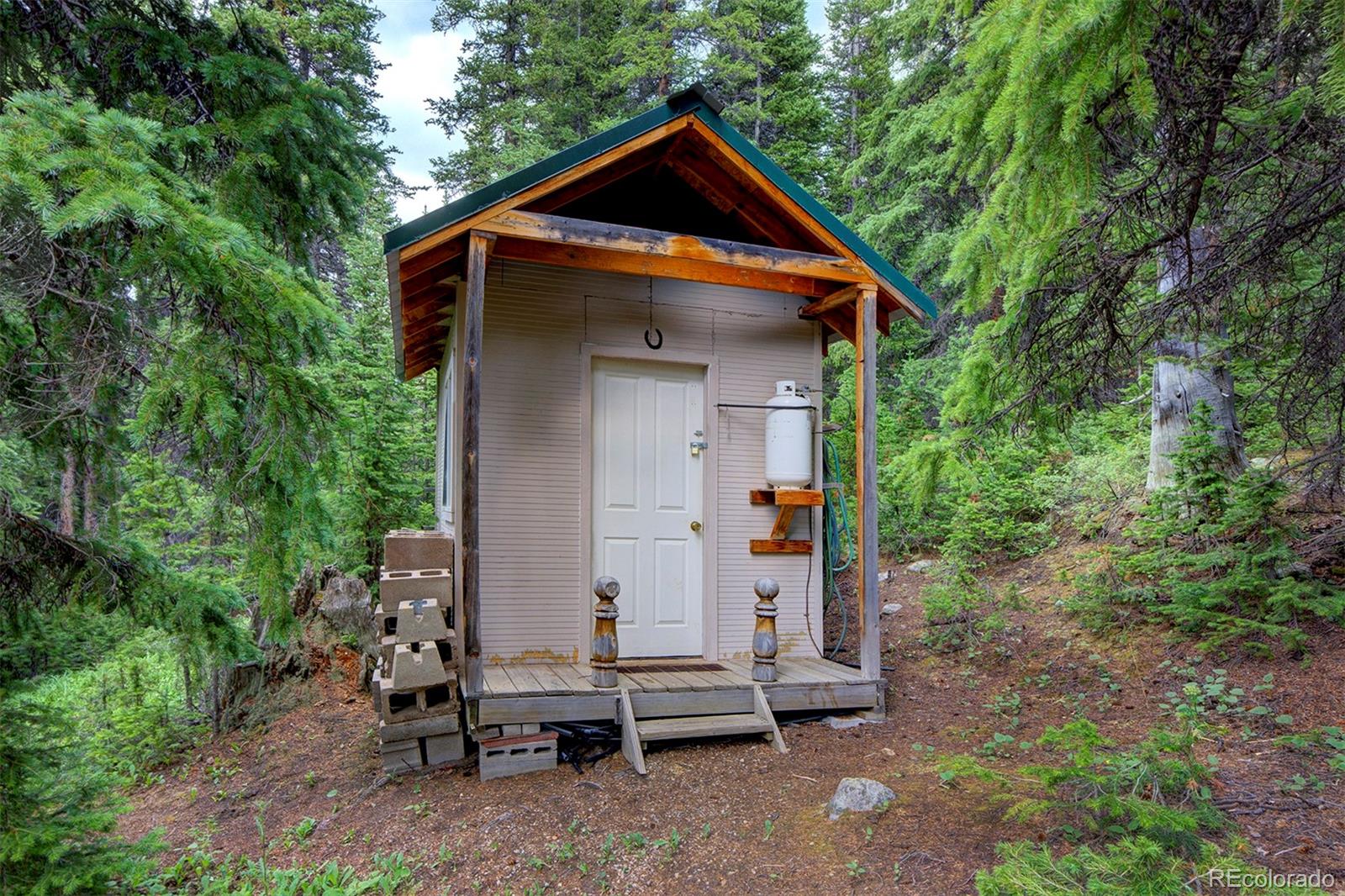 MLS Image #24 for 9562  co rd 18 ,fairplay, Colorado