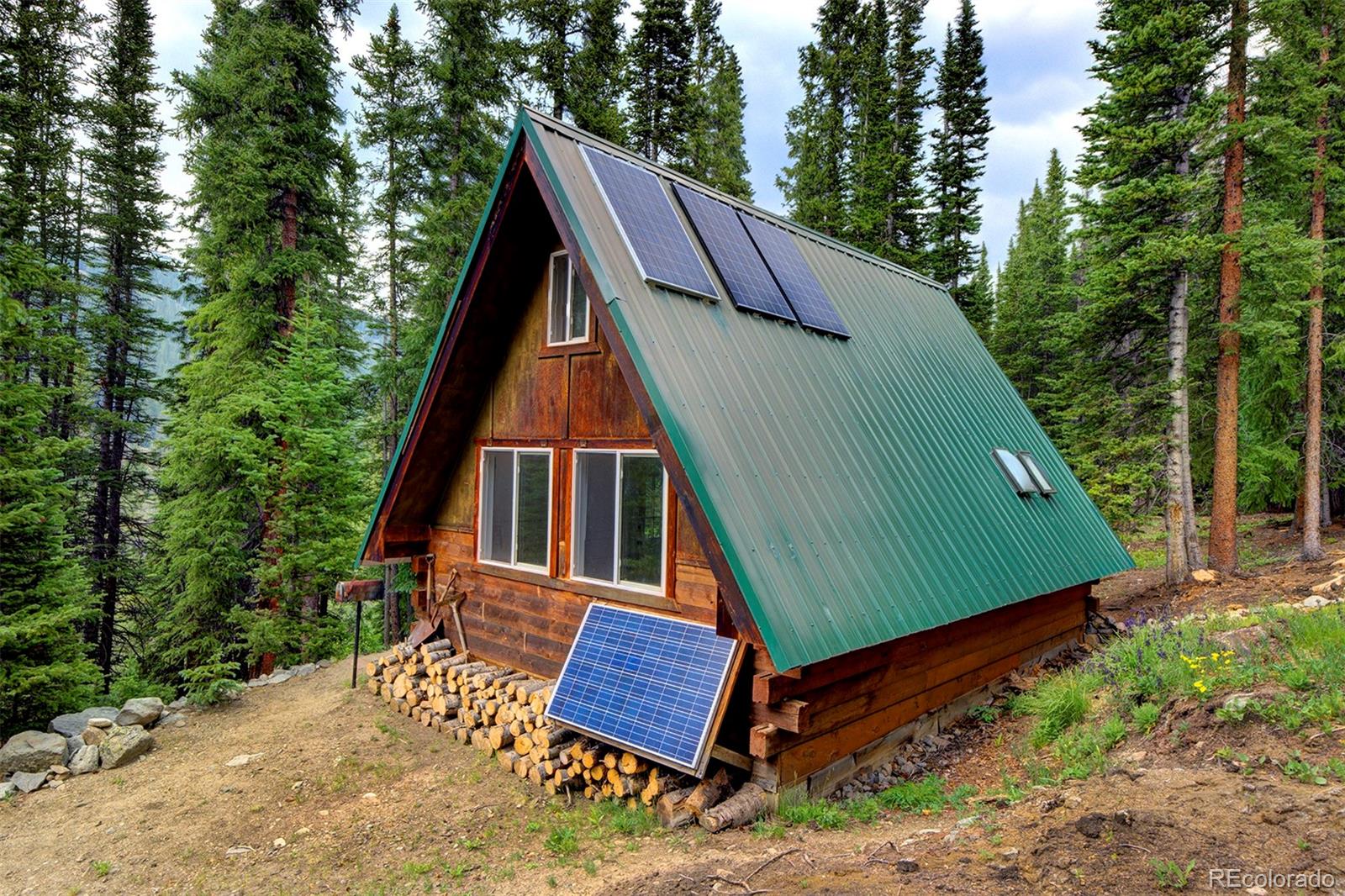 MLS Image #27 for 9562  co rd 18 ,fairplay, Colorado