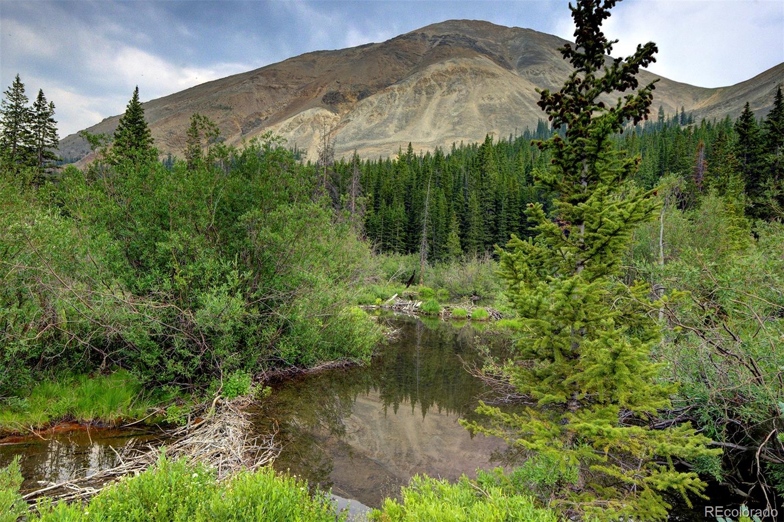 MLS Image #3 for 9562  co rd 18 ,fairplay, Colorado