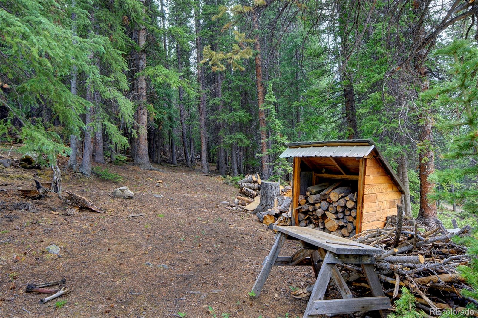 MLS Image #30 for 9562  co rd 18 ,fairplay, Colorado