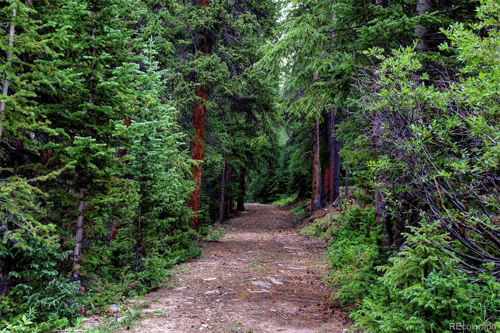 MLS Image #31 for 9562  co rd 18 ,fairplay, Colorado