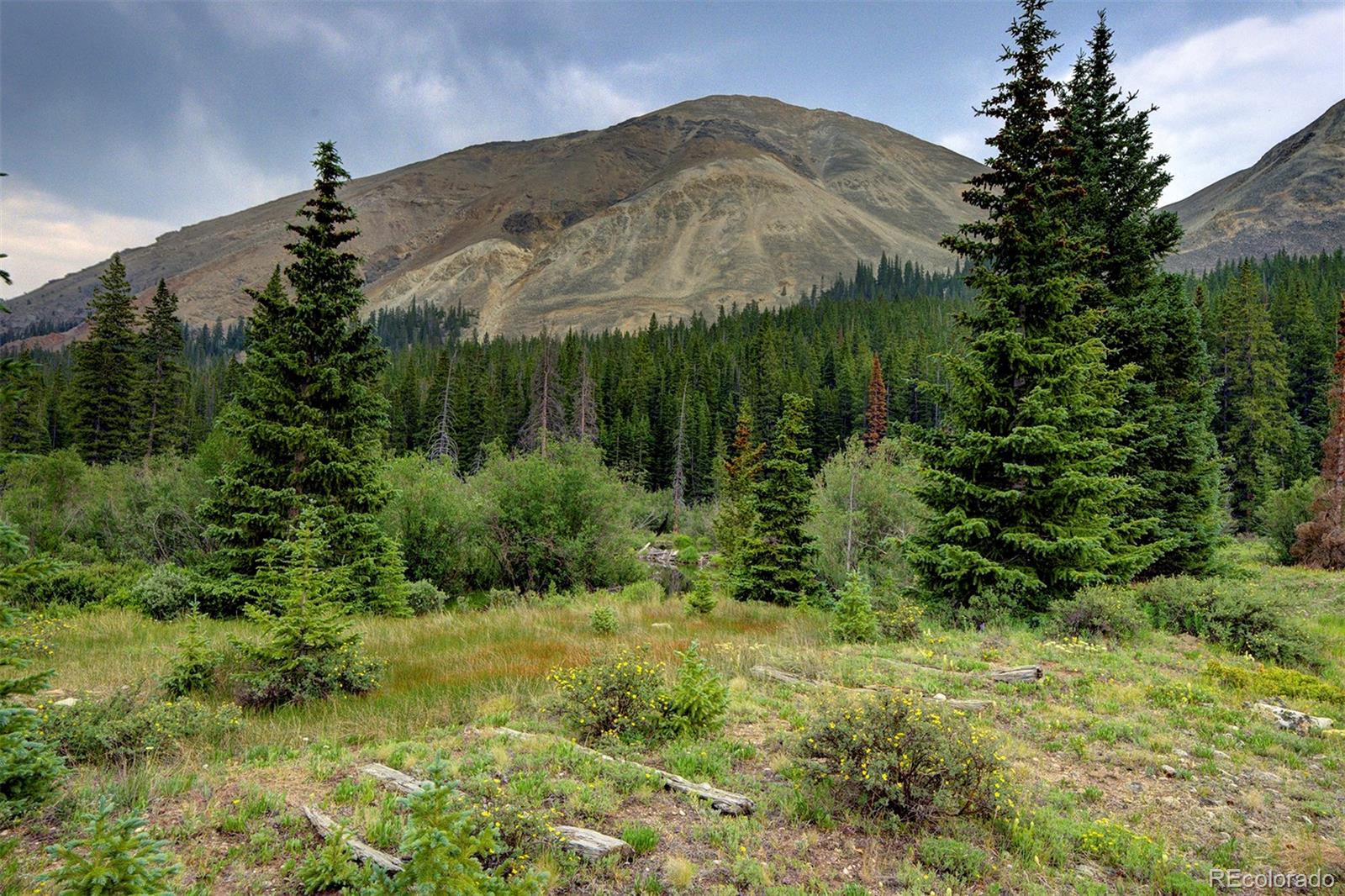 MLS Image #32 for 9562  co rd 18 ,fairplay, Colorado
