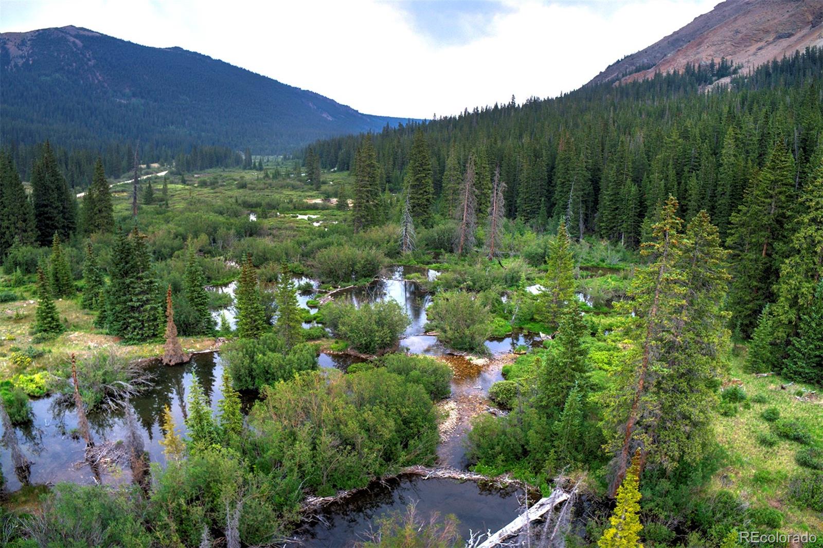MLS Image #34 for 9562  co rd 18 ,fairplay, Colorado