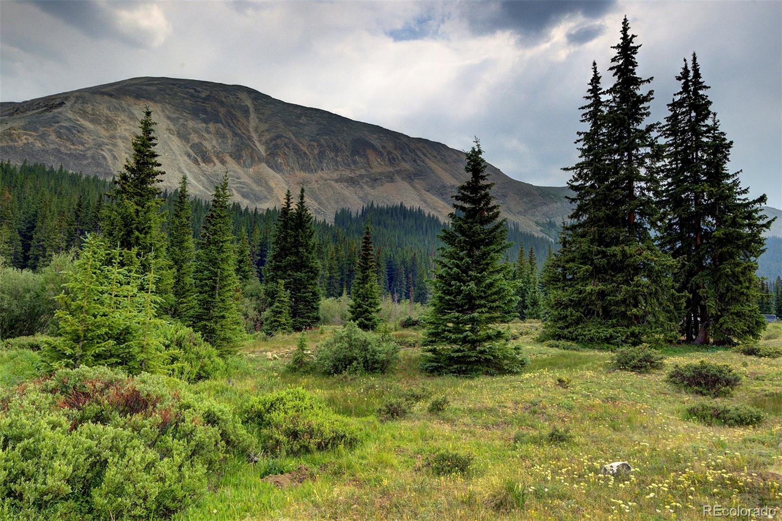 MLS Image #36 for 9562  co rd 18 ,fairplay, Colorado