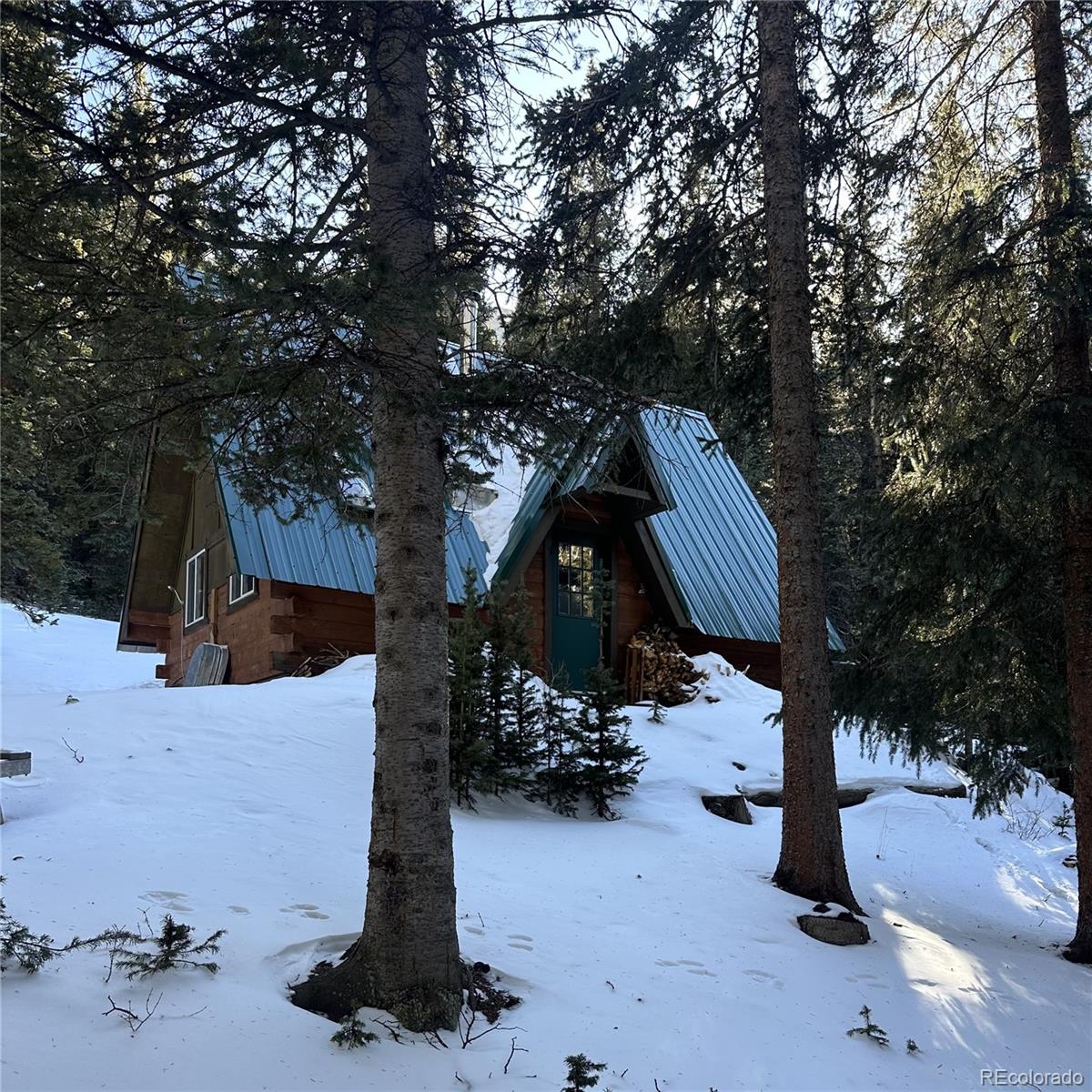 MLS Image #38 for 9562  co rd 18 ,fairplay, Colorado