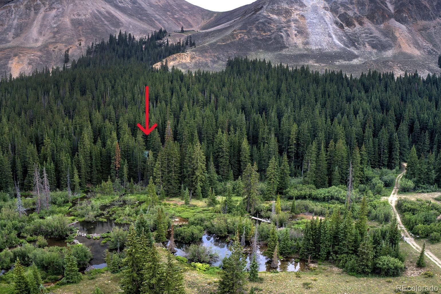 MLS Image #6 for 9562  co rd 18 ,fairplay, Colorado