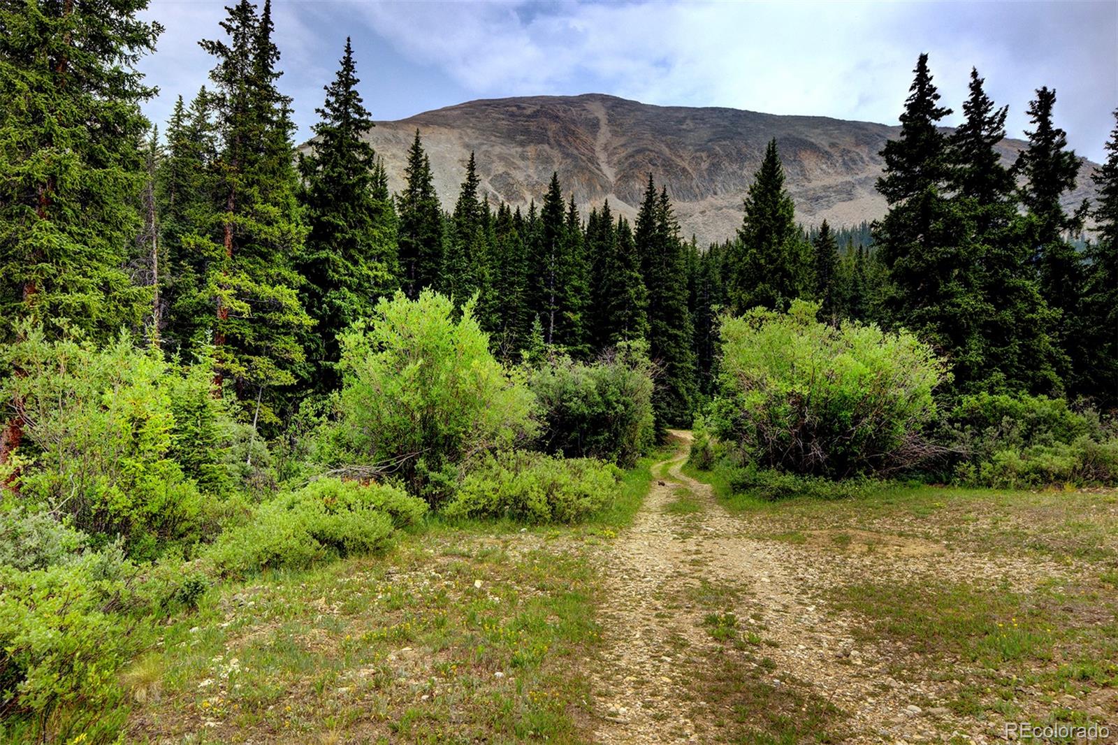 MLS Image #7 for 9562  co rd 18 ,fairplay, Colorado