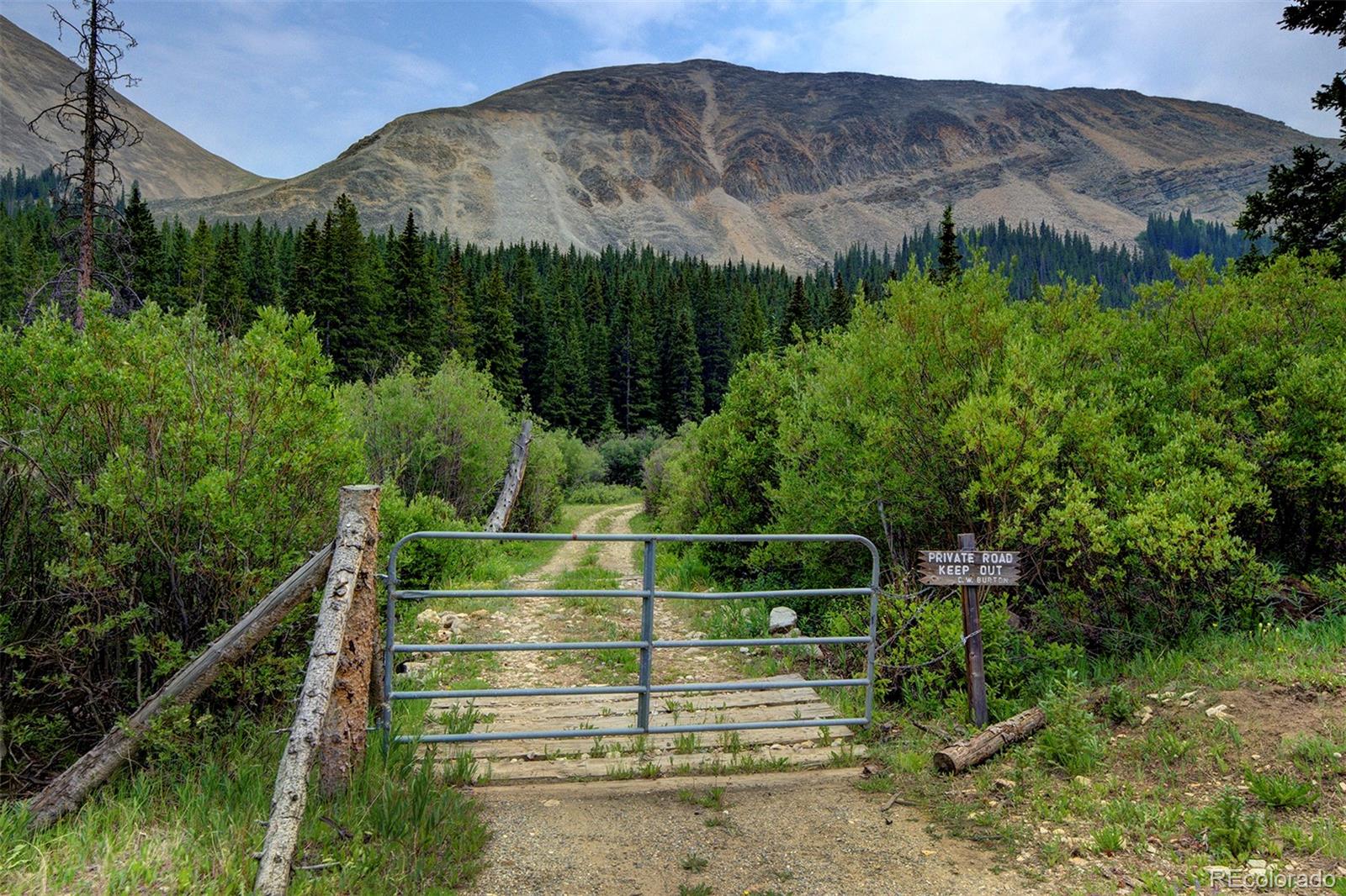 MLS Image #8 for 9562  co rd 18 ,fairplay, Colorado