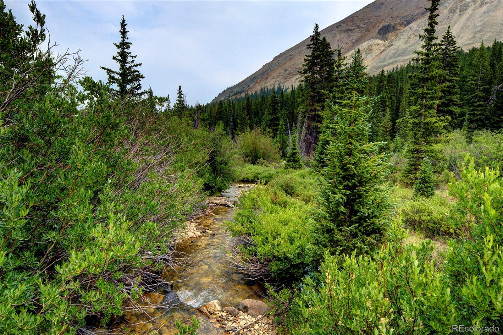 MLS Image #9 for 9562  co rd 18 ,fairplay, Colorado