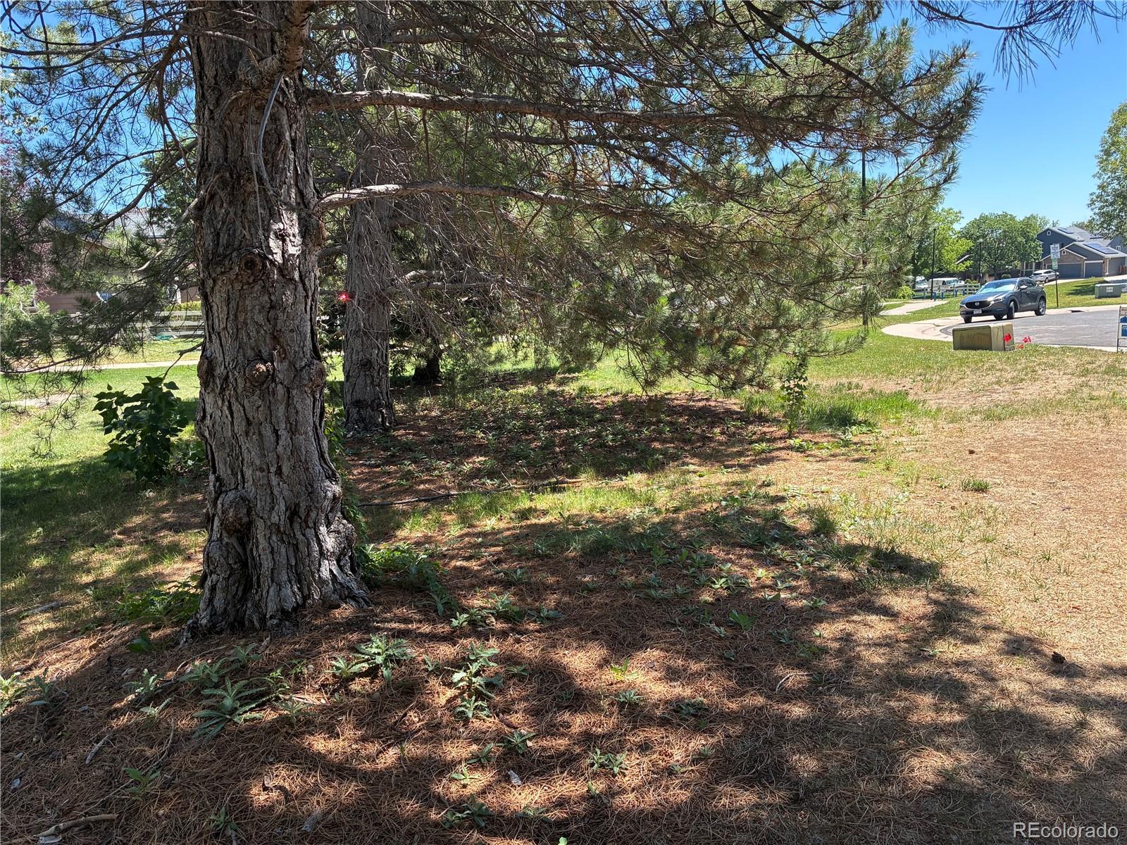 MLS Image #6 for 4187 e 134th drive,thornton, Colorado