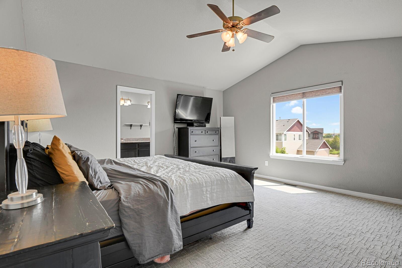 MLS Image #18 for 9052  sandpiper drive,longmont, Colorado