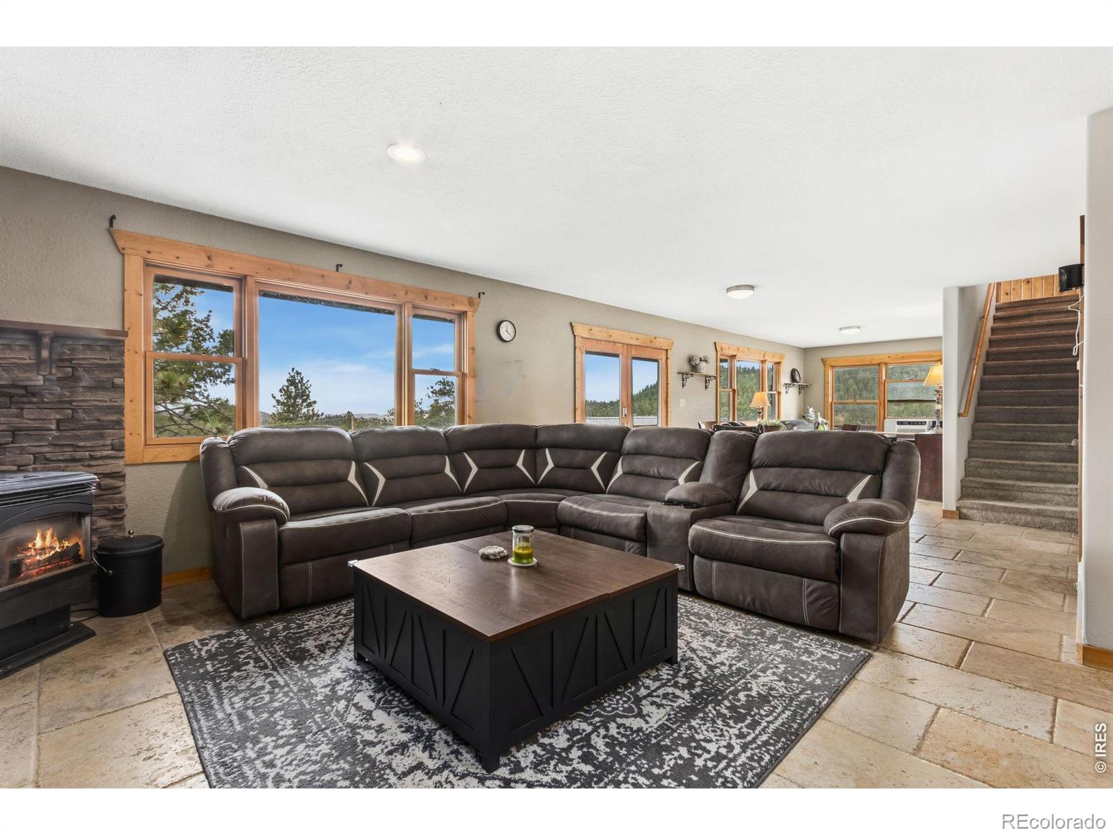 MLS Image #16 for 569  gordon court,livermore, Colorado