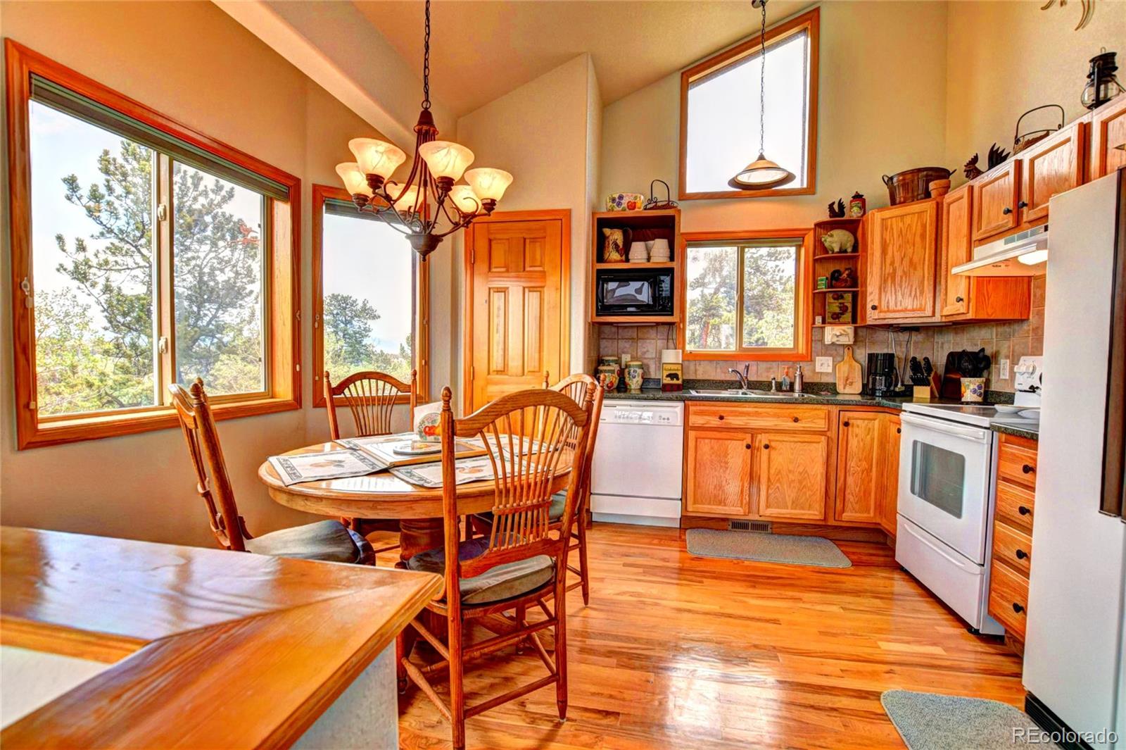 MLS Image #1 for 53  fawn court,como, Colorado