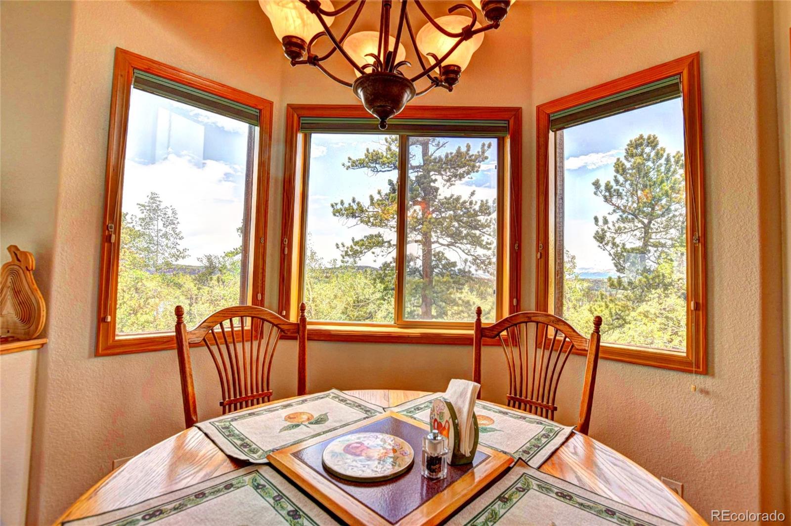 MLS Image #11 for 53  fawn court,como, Colorado