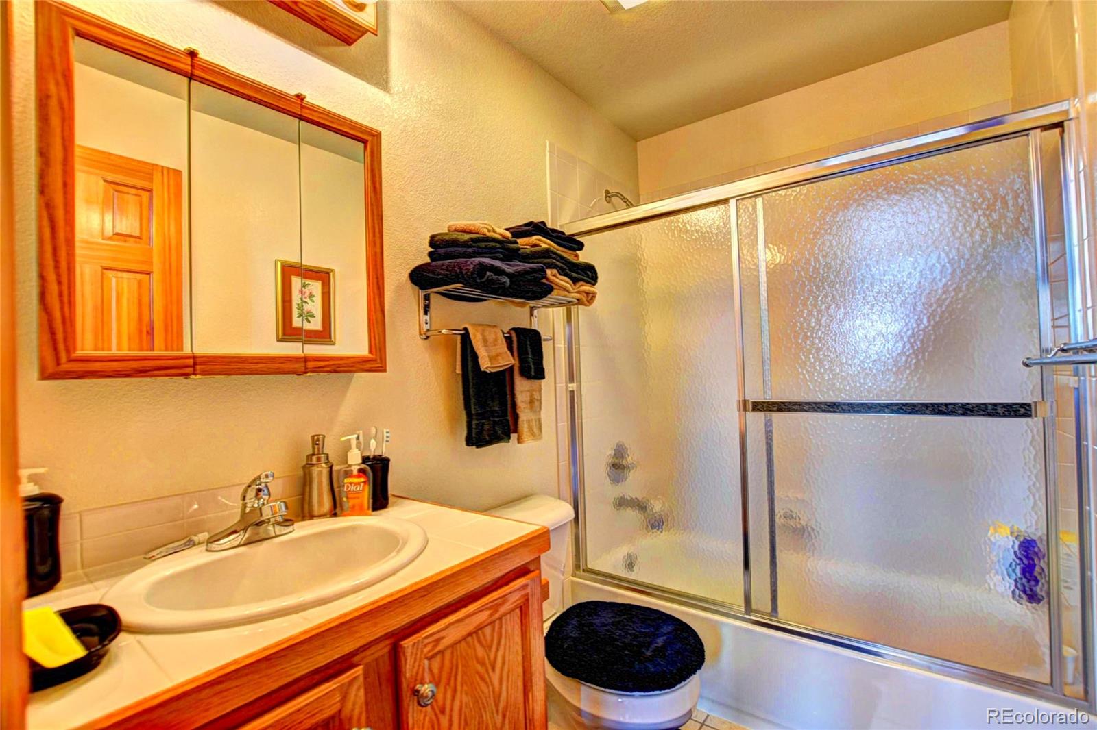 MLS Image #14 for 53  fawn court,como, Colorado