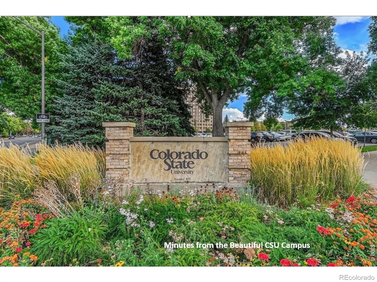 MLS Image #47 for 624  armstrong avenue,fort collins, Colorado