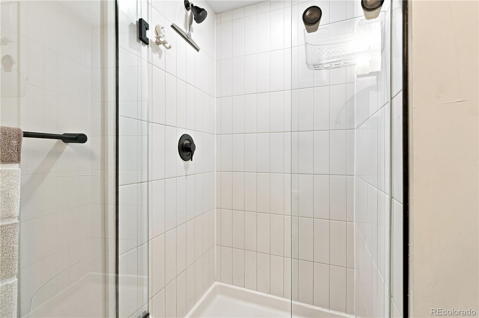 MLS Image #11 for 2120 n downing street,denver, Colorado