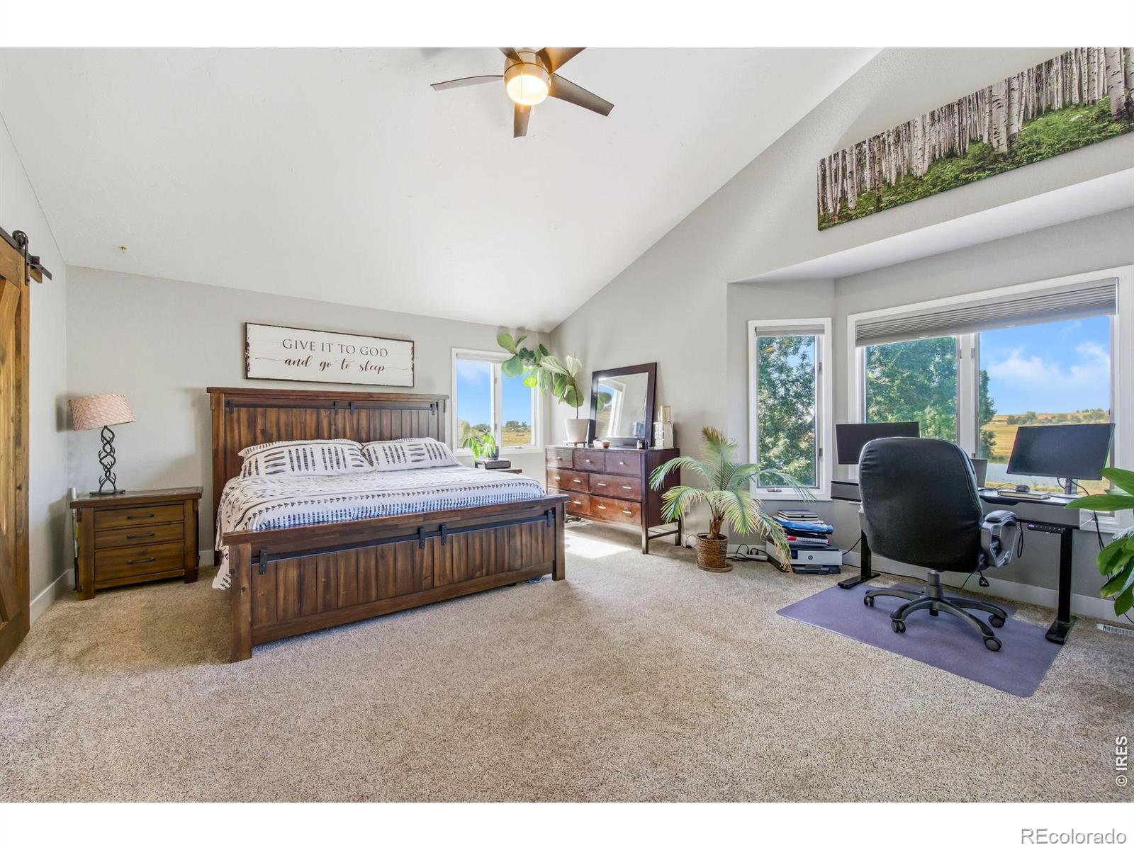 MLS Image #12 for 5620  wild plum drive,loveland, Colorado