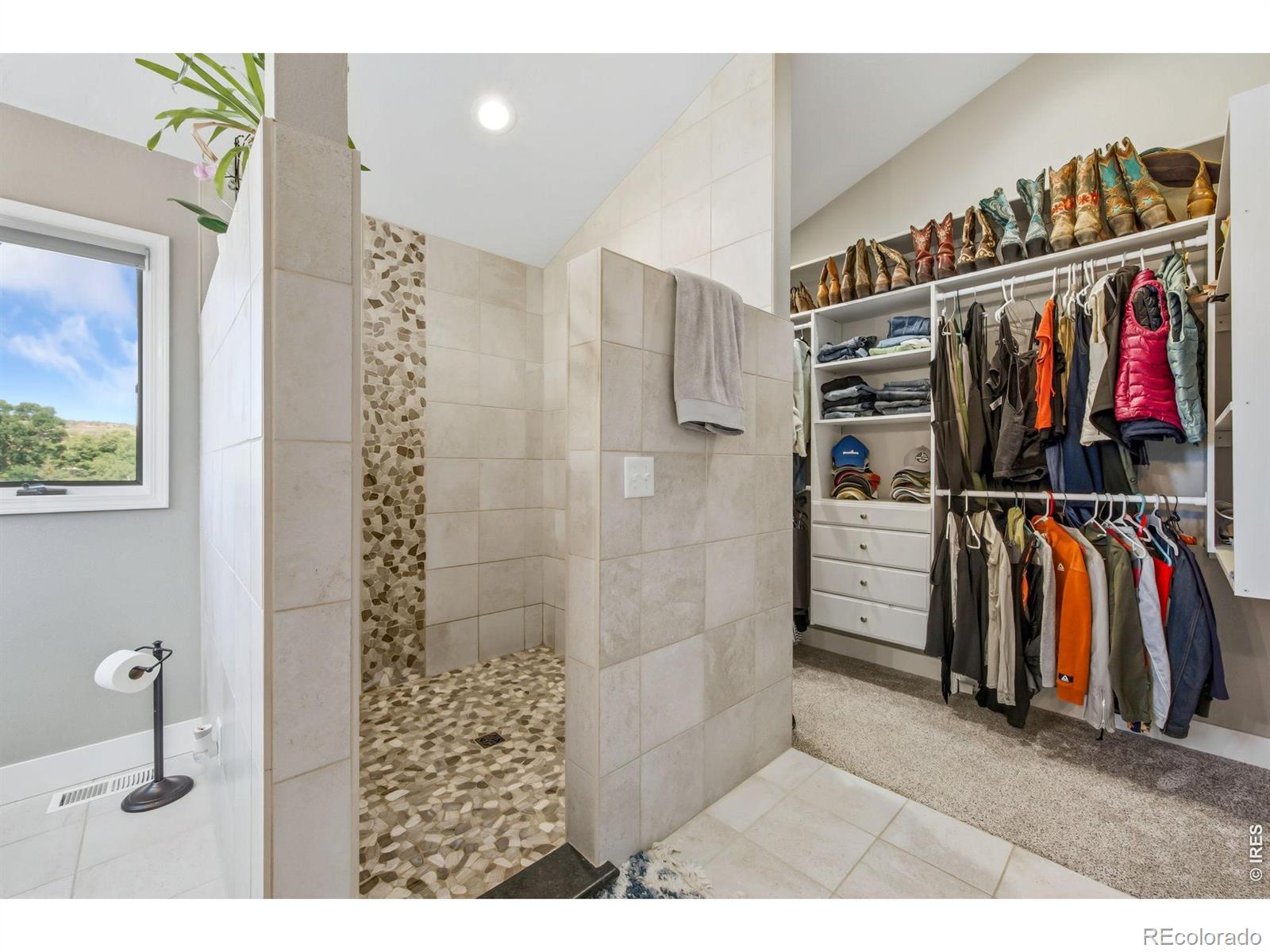 MLS Image #15 for 5620  wild plum drive,loveland, Colorado