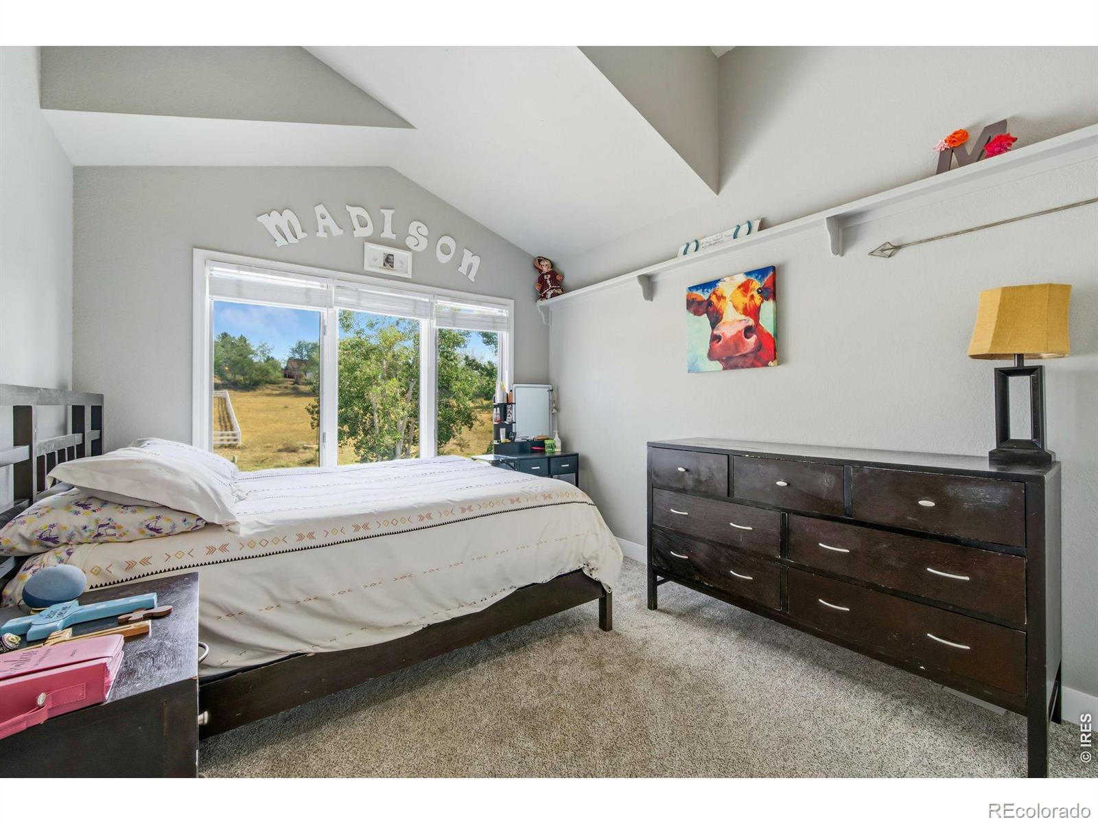 MLS Image #16 for 5620  wild plum drive,loveland, Colorado