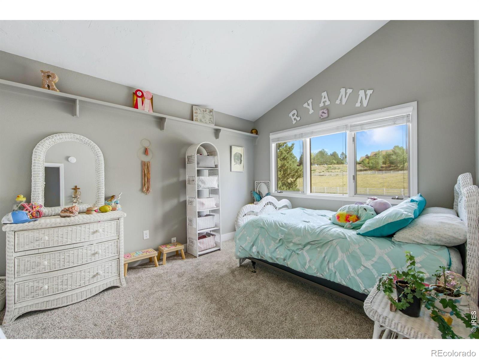 MLS Image #17 for 5620  wild plum drive,loveland, Colorado