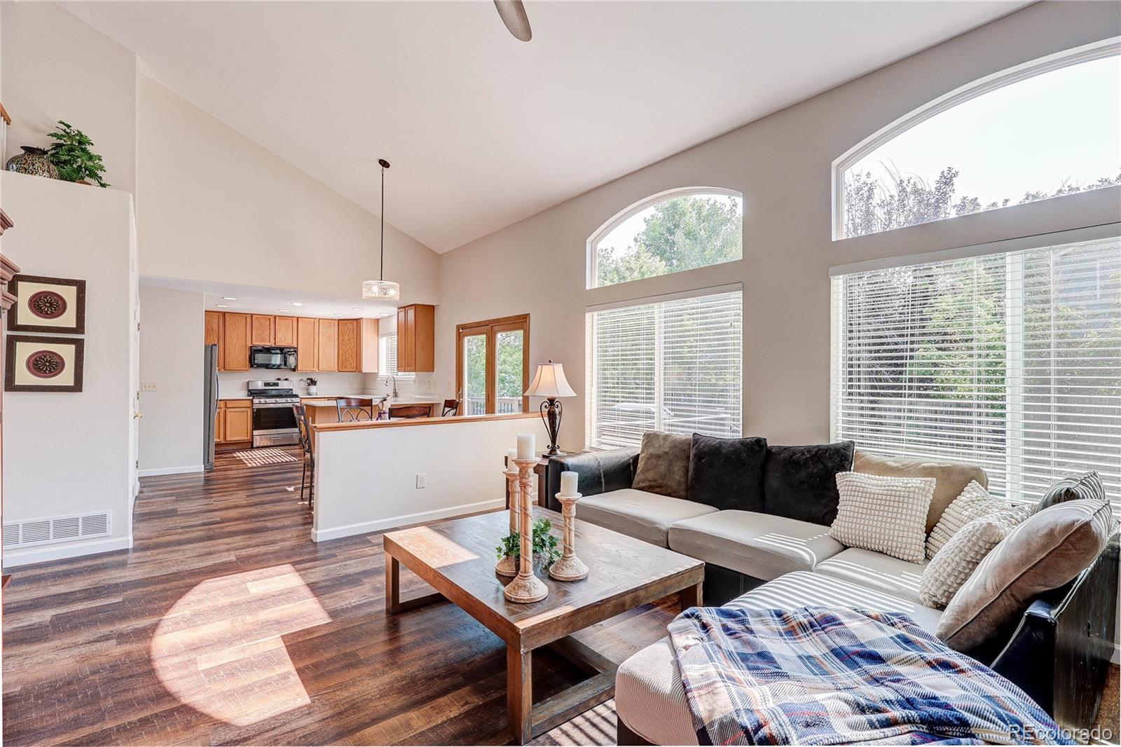 MLS Image #13 for 226  chelsea street,castle rock, Colorado