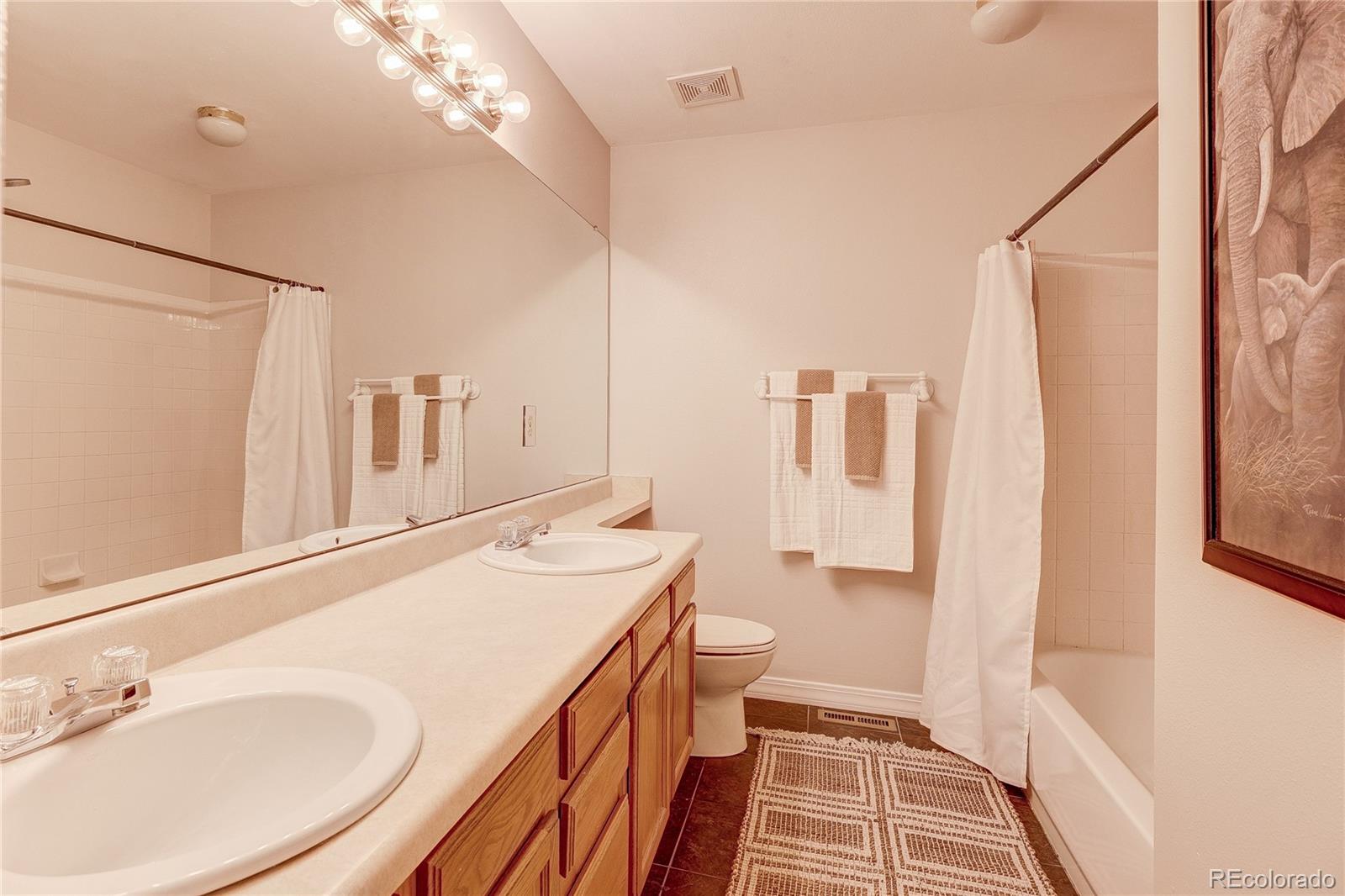 MLS Image #14 for 226  chelsea street,castle rock, Colorado