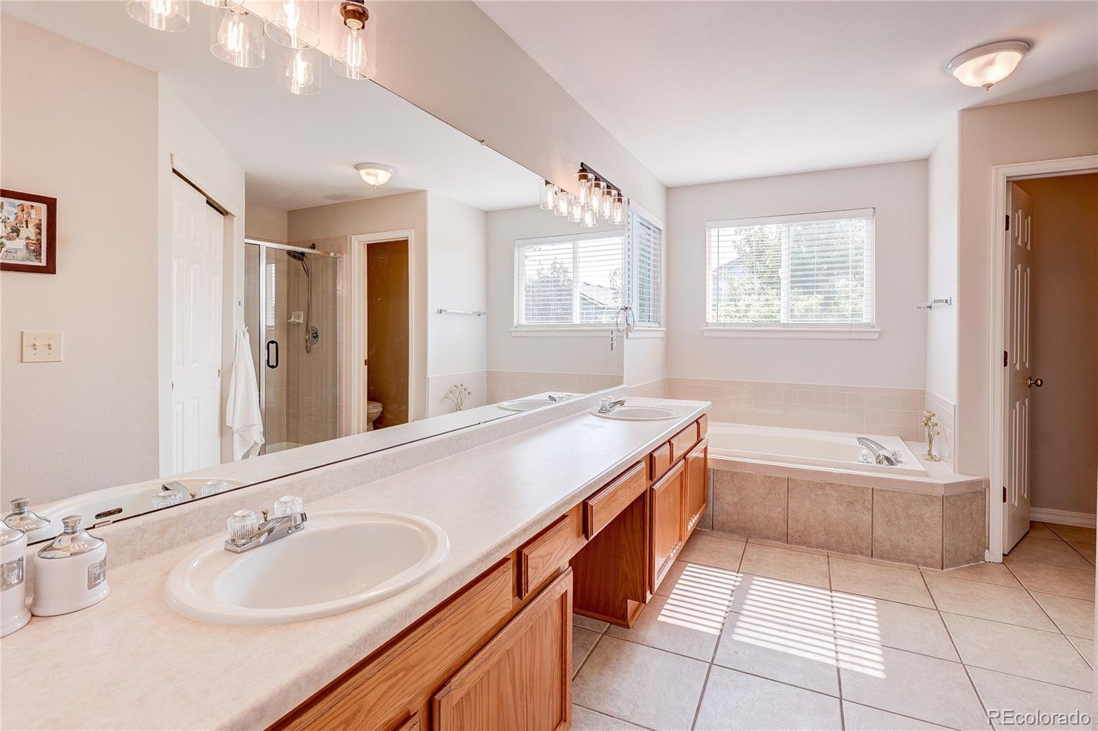 MLS Image #18 for 226  chelsea street,castle rock, Colorado