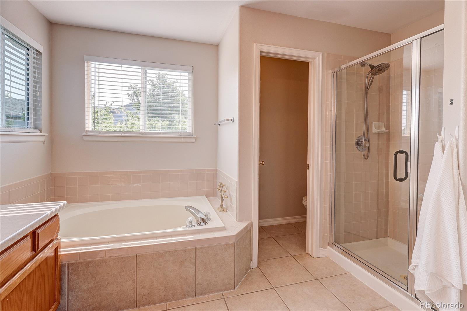 MLS Image #19 for 226  chelsea street,castle rock, Colorado